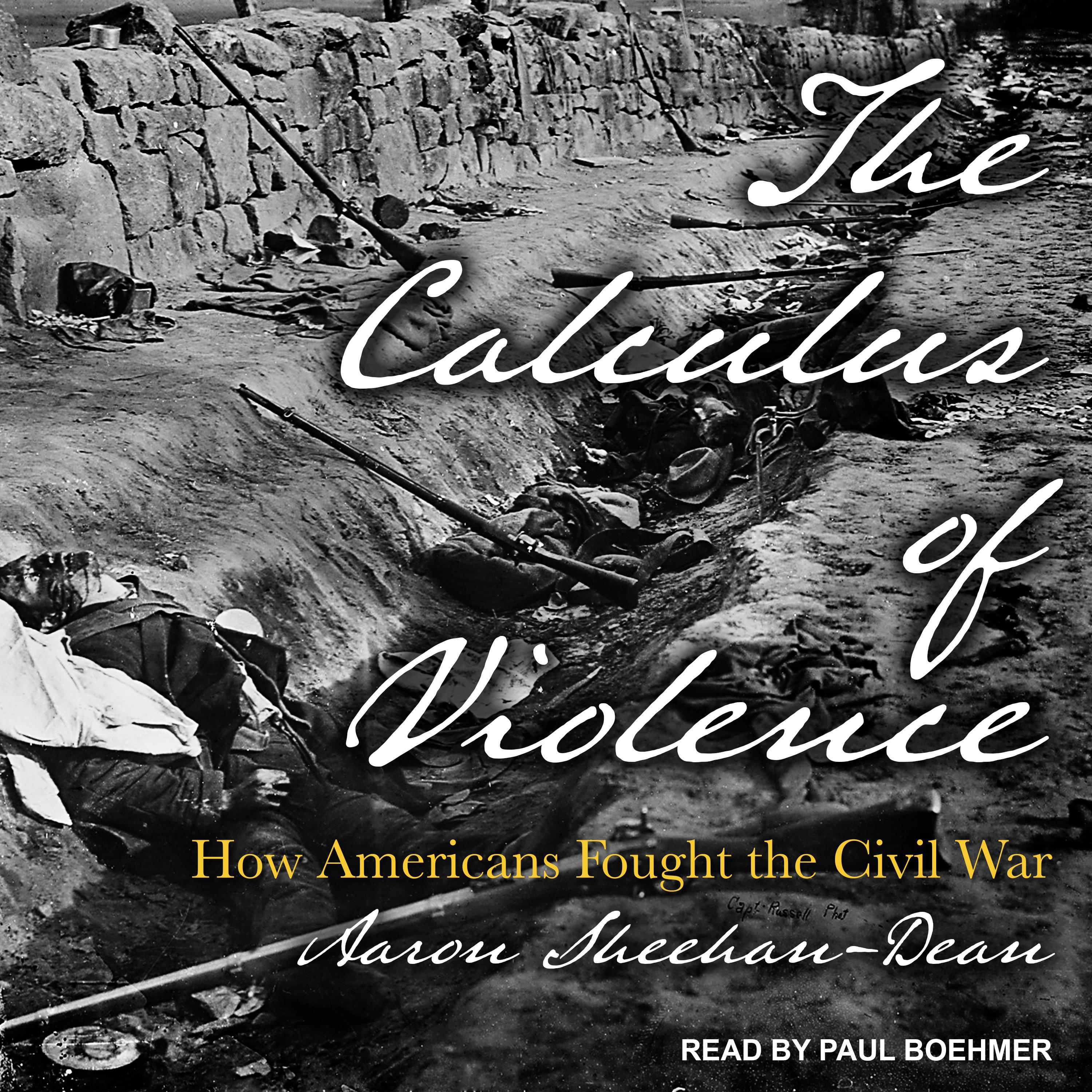 The Calculus of Violence