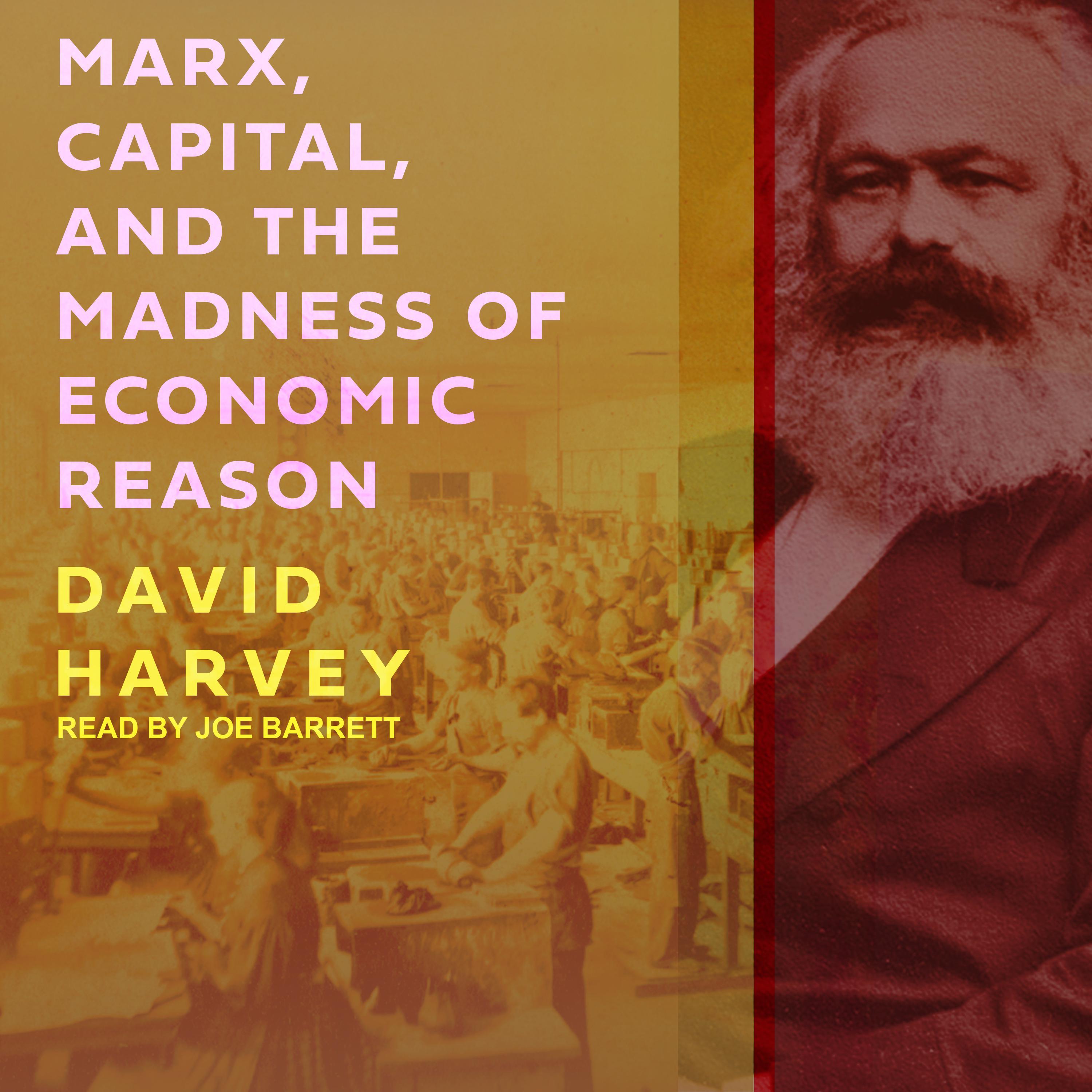 Marx, Capital, and the Madness of Economic Reason