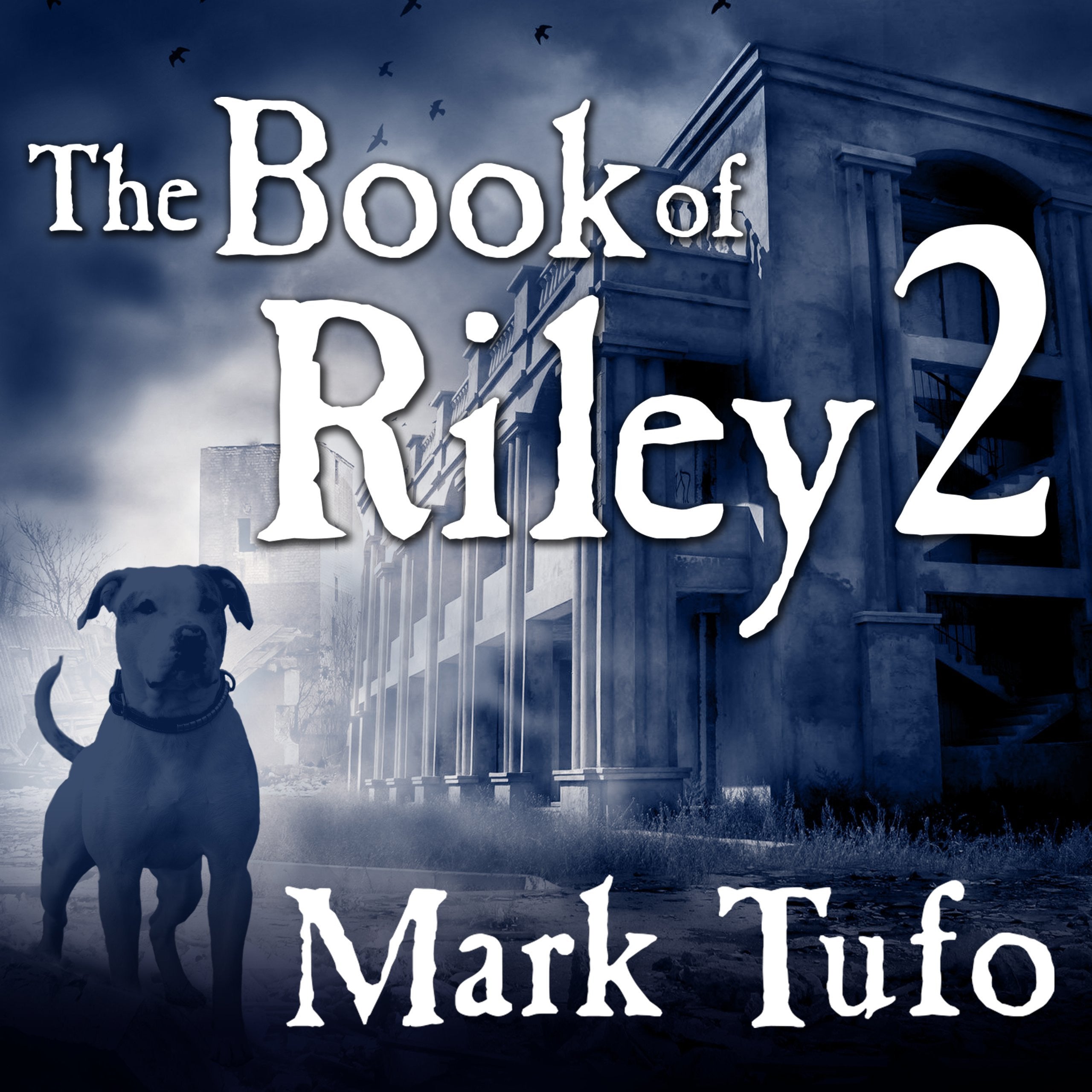 The Book of Riley 2