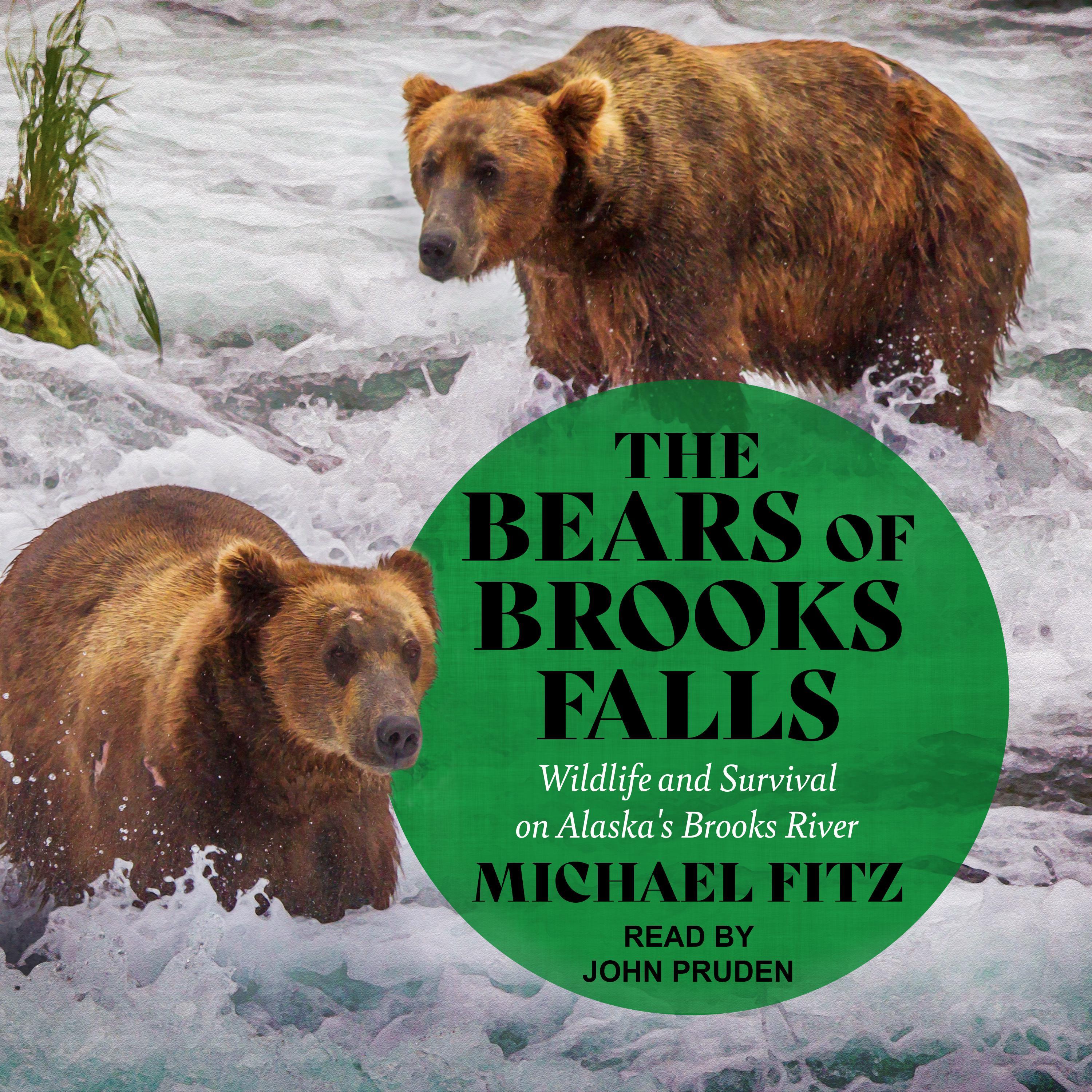 The Bears of Brooks Falls