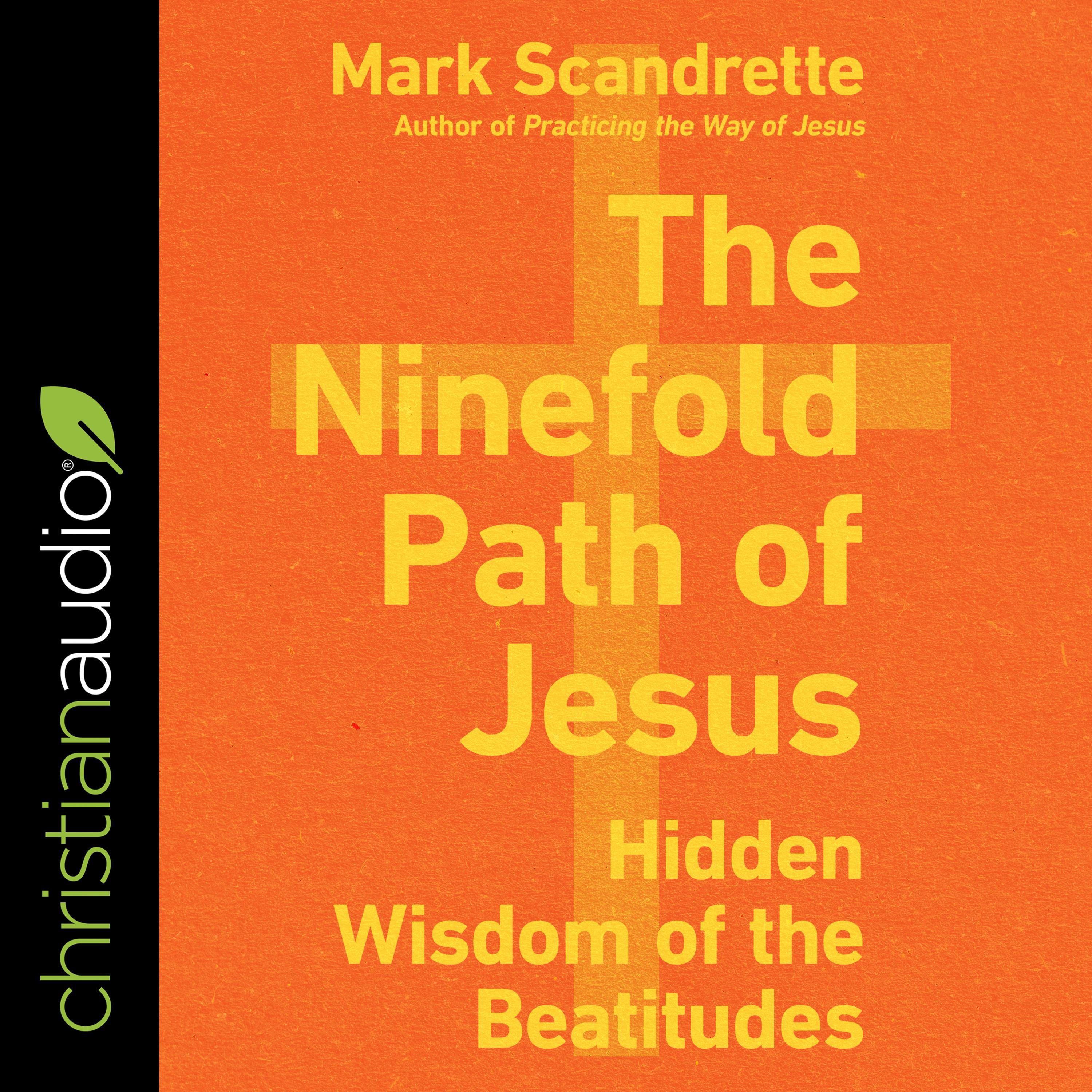 The Ninefold Path of Jesus