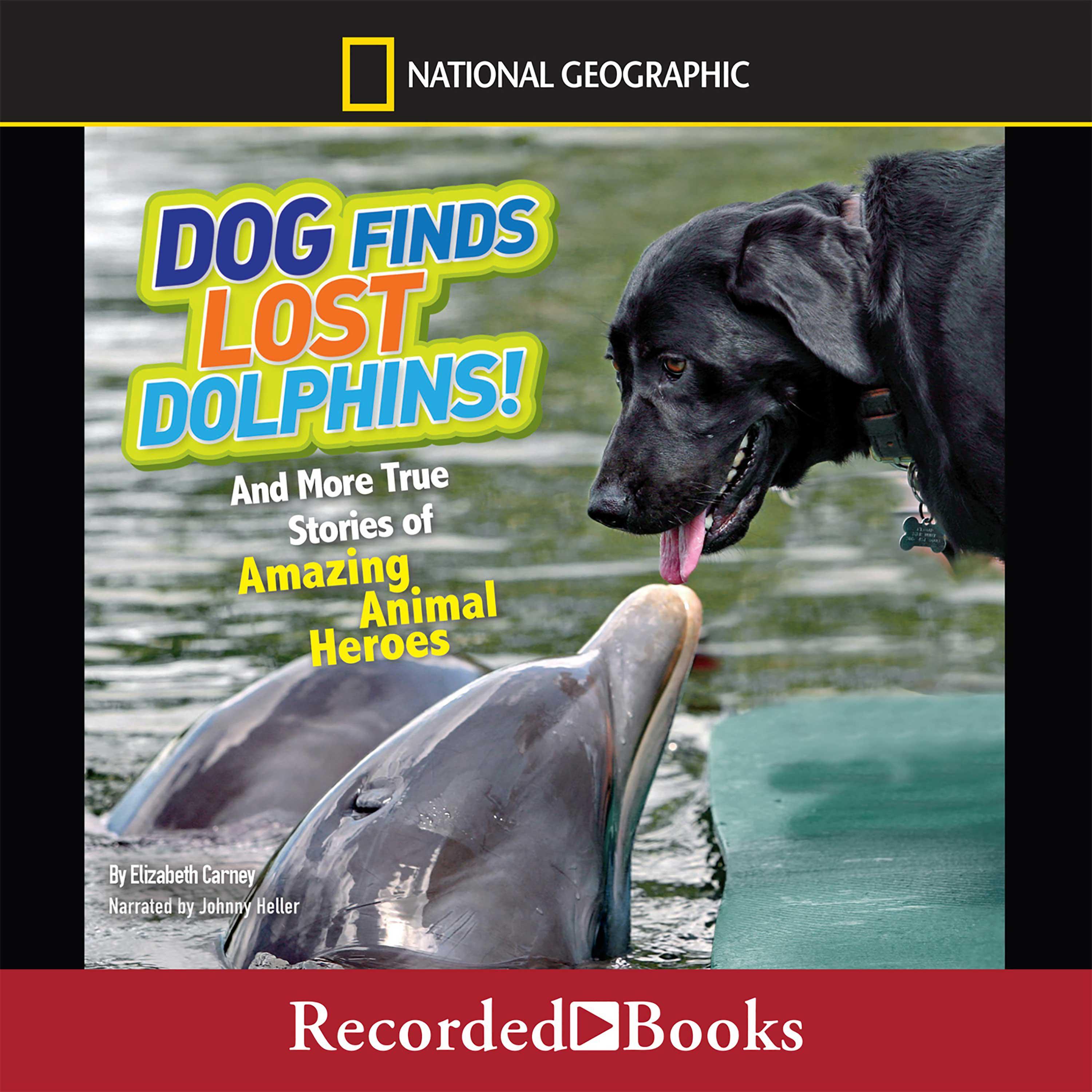 National Geographic Kids Chapters: Dog Finds Lost Dolphins