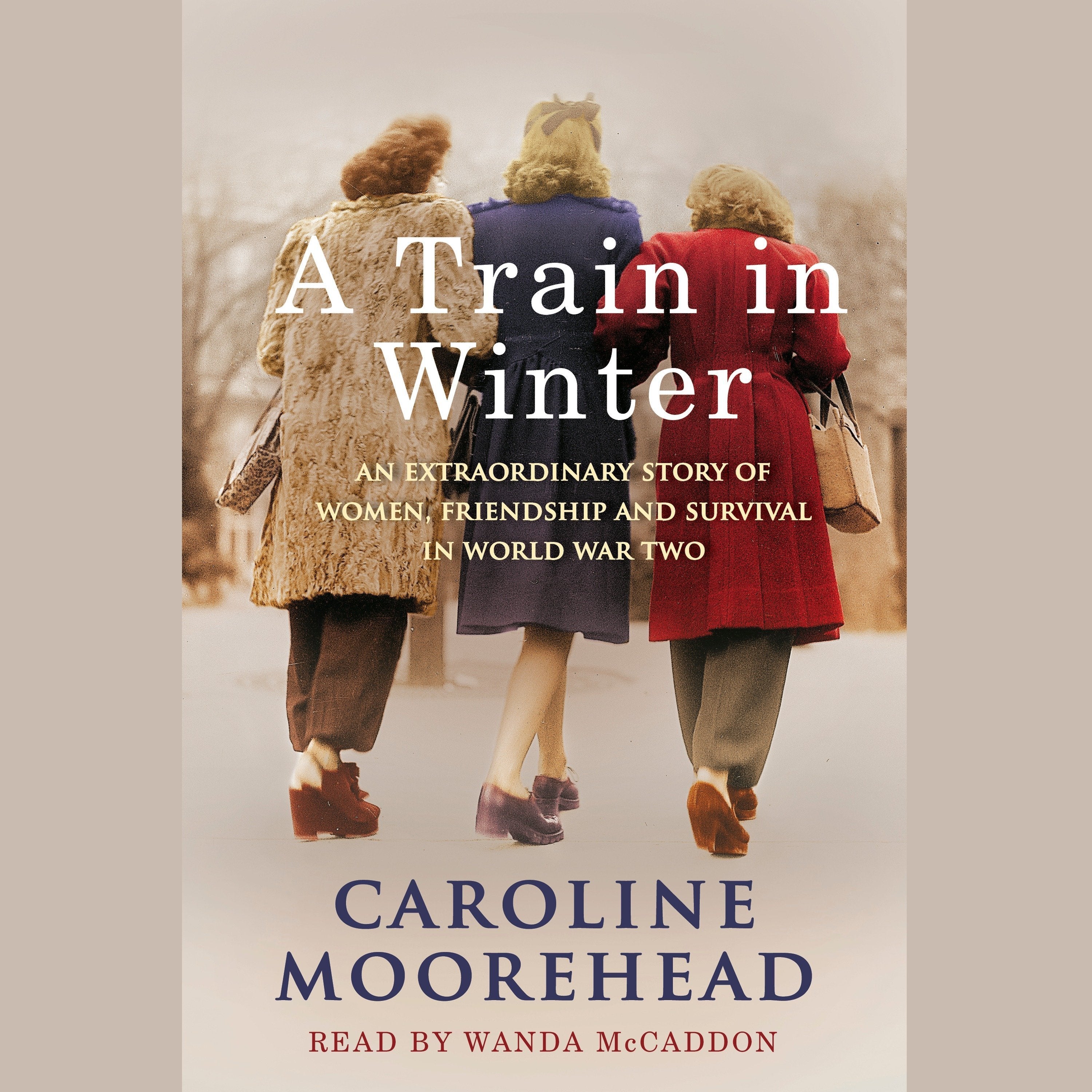 A Train in Winter