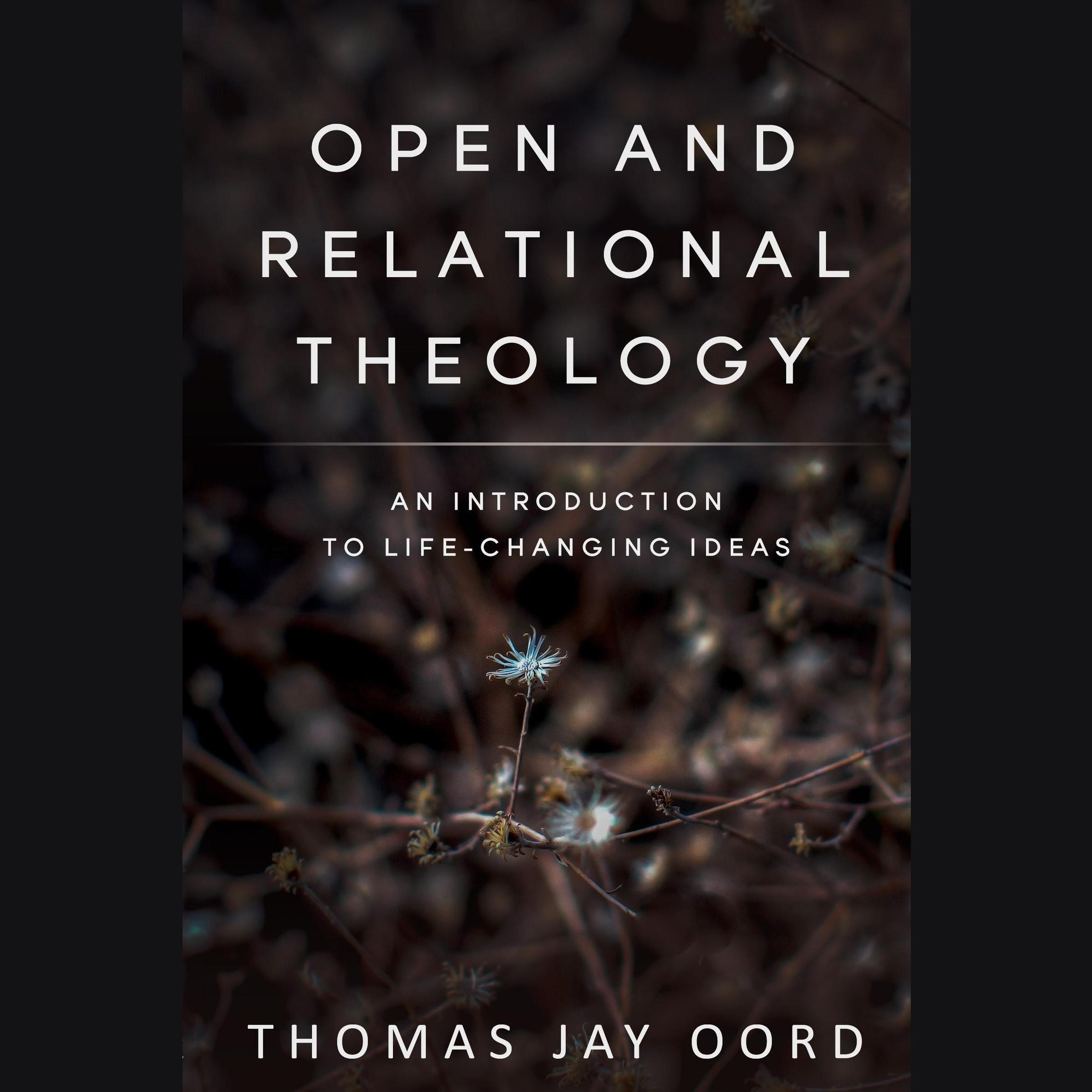 Open and Relational Theology