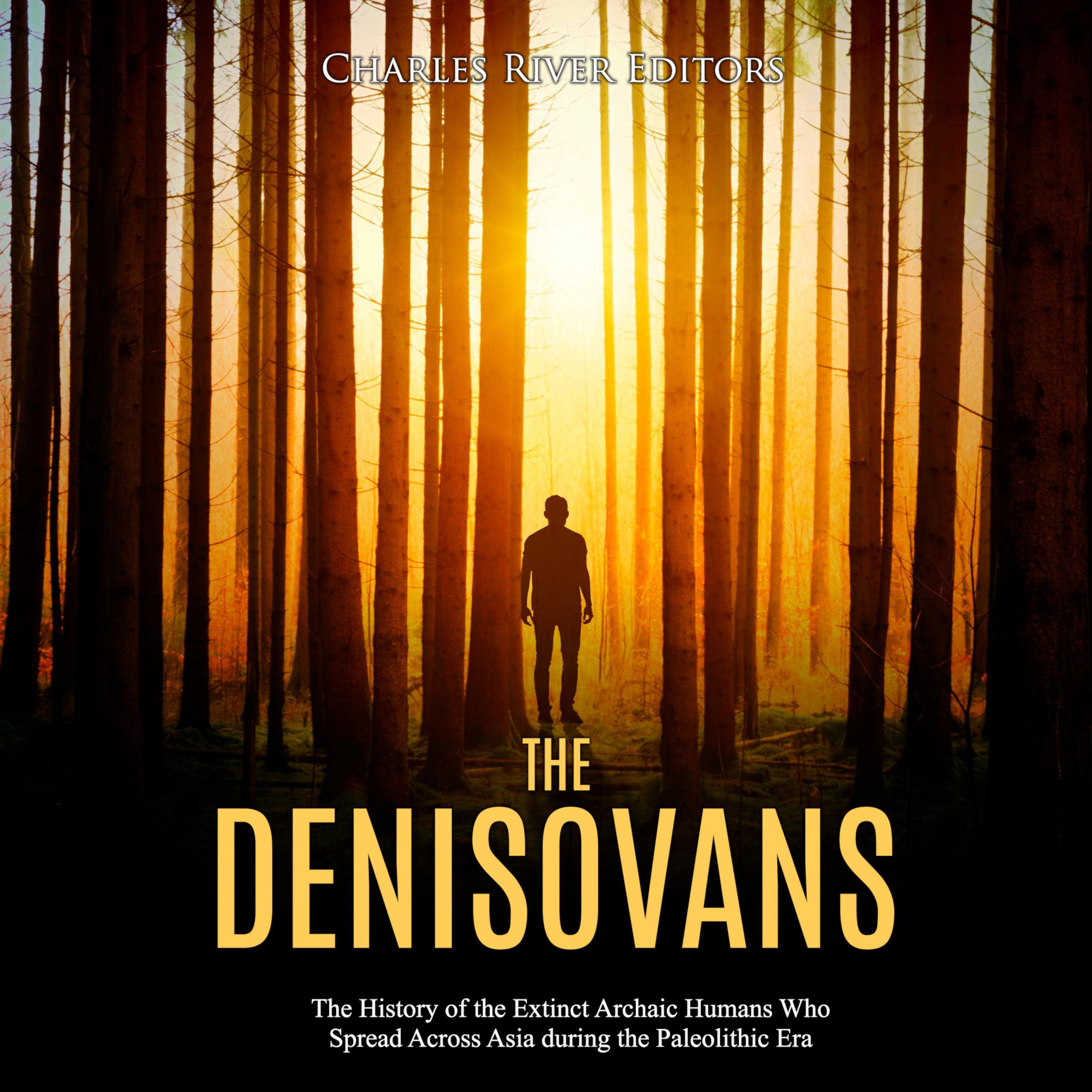 The Denisovans: The History of the Extinct Archaic Humans Who Spread Across Asia during the Paleolithic Era