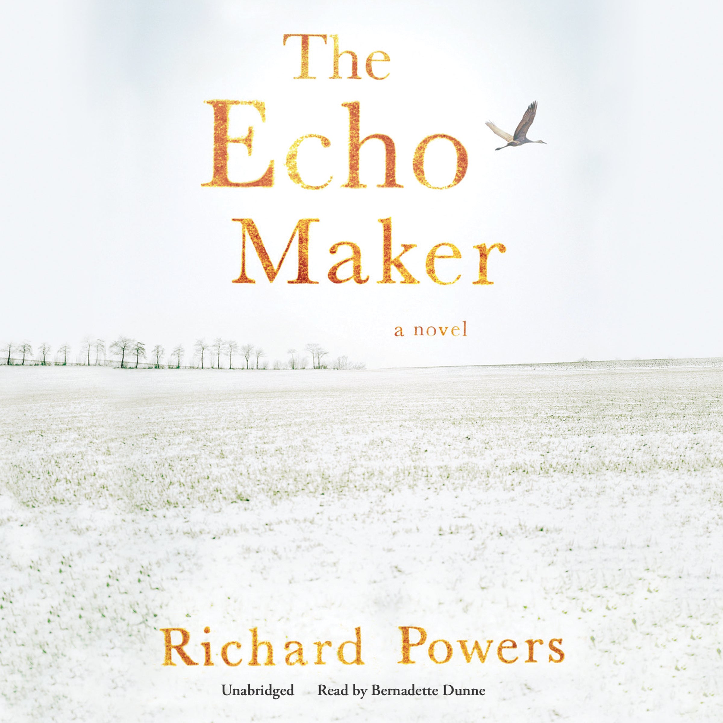 The Echo Maker