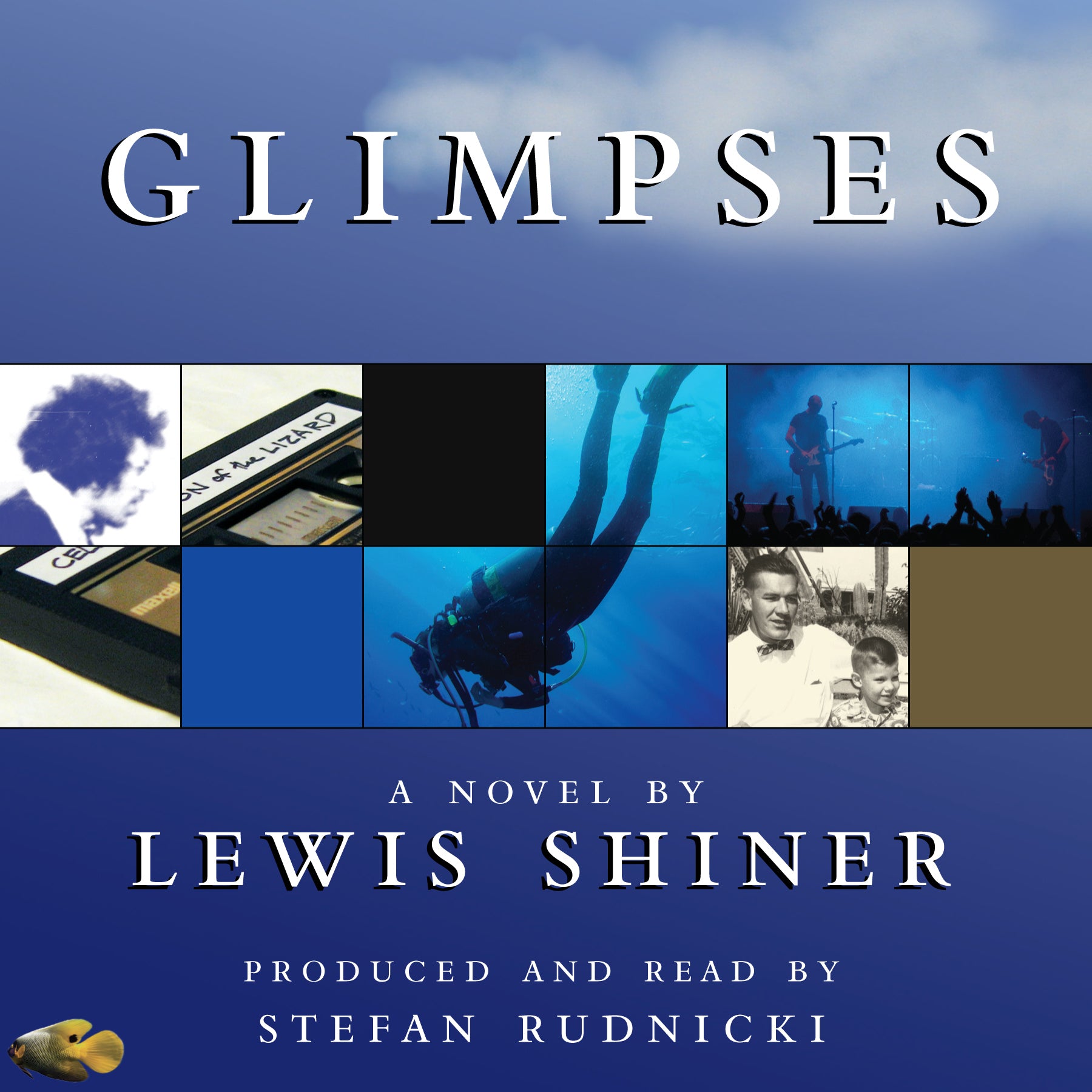 Glimpses