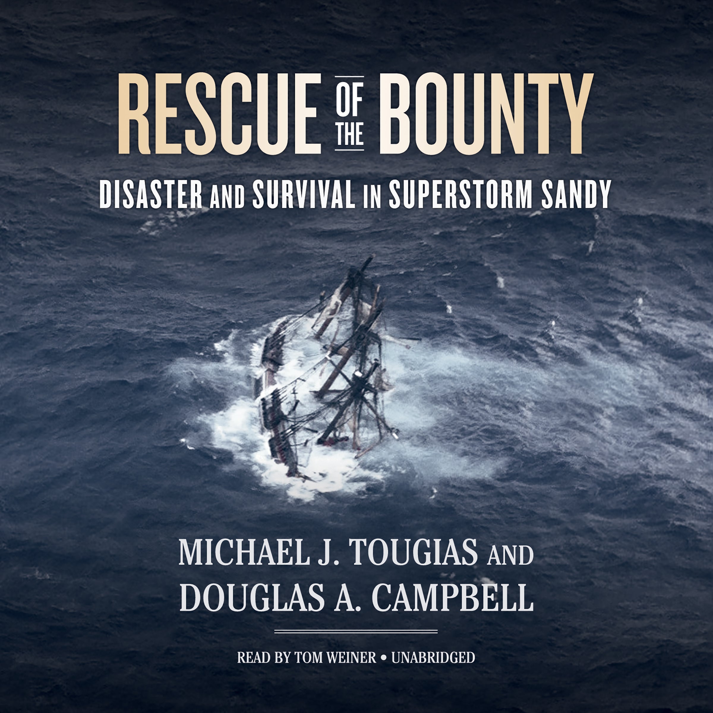 Rescue of the <i>Bounty</i>