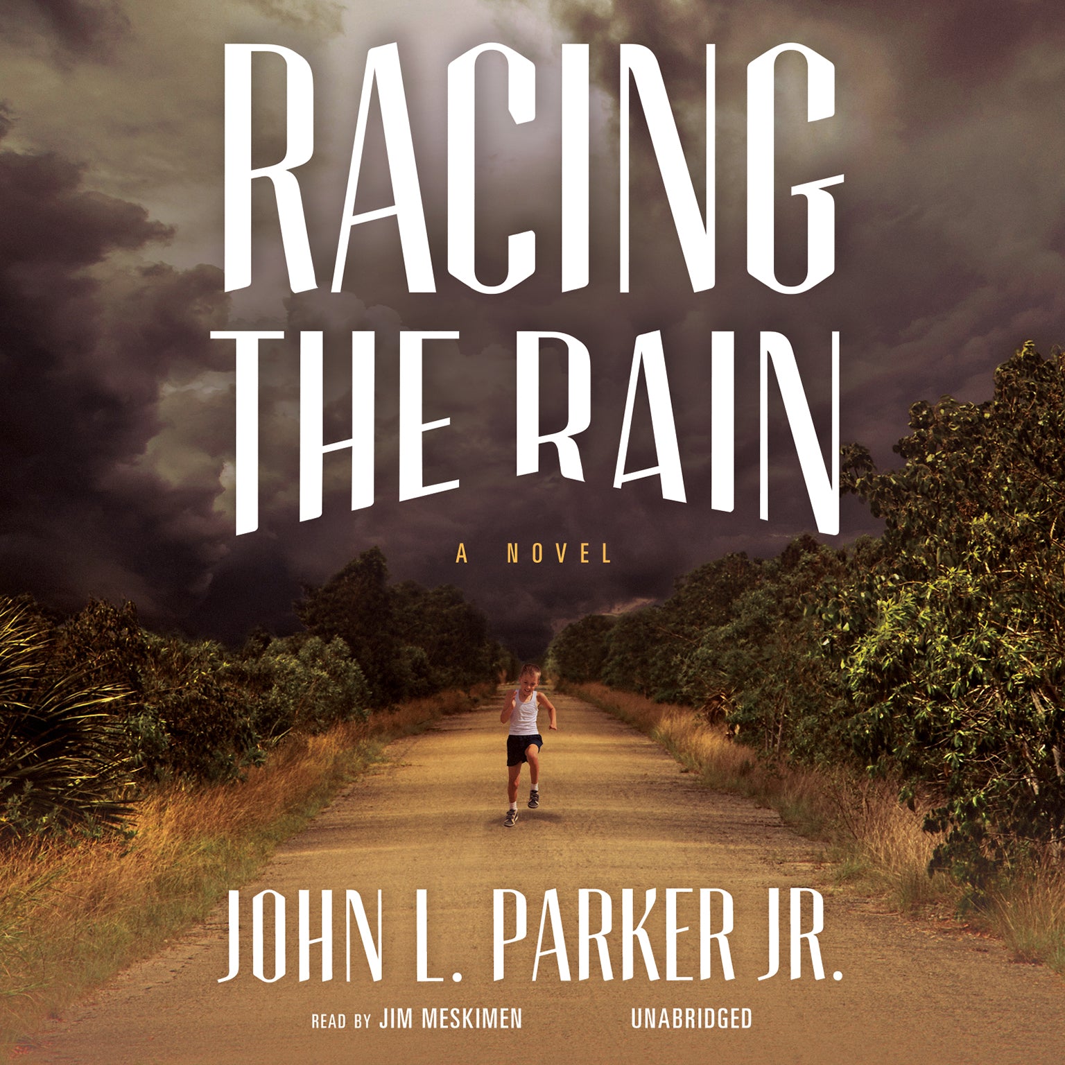 Racing the Rain