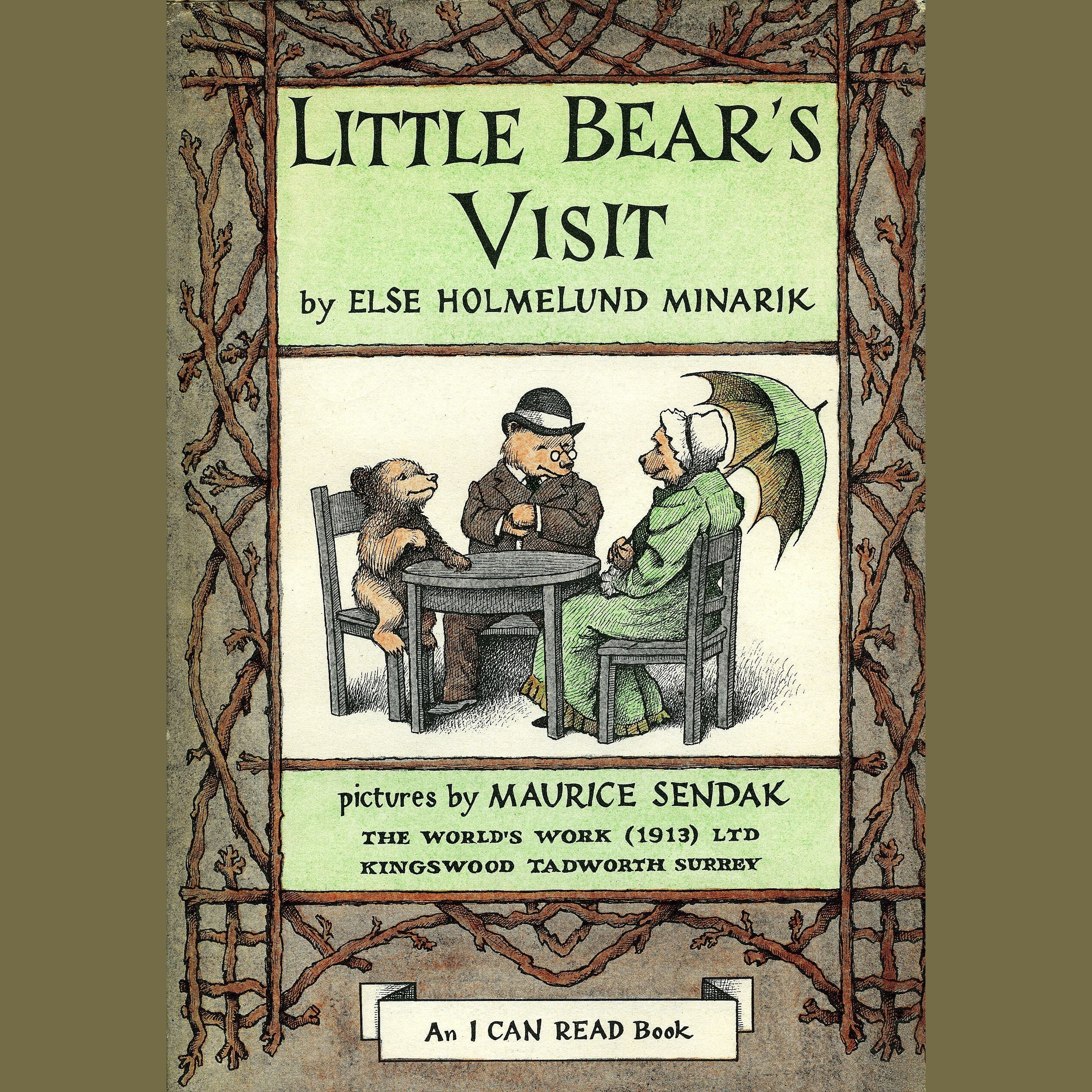 Little Bear's Visit
