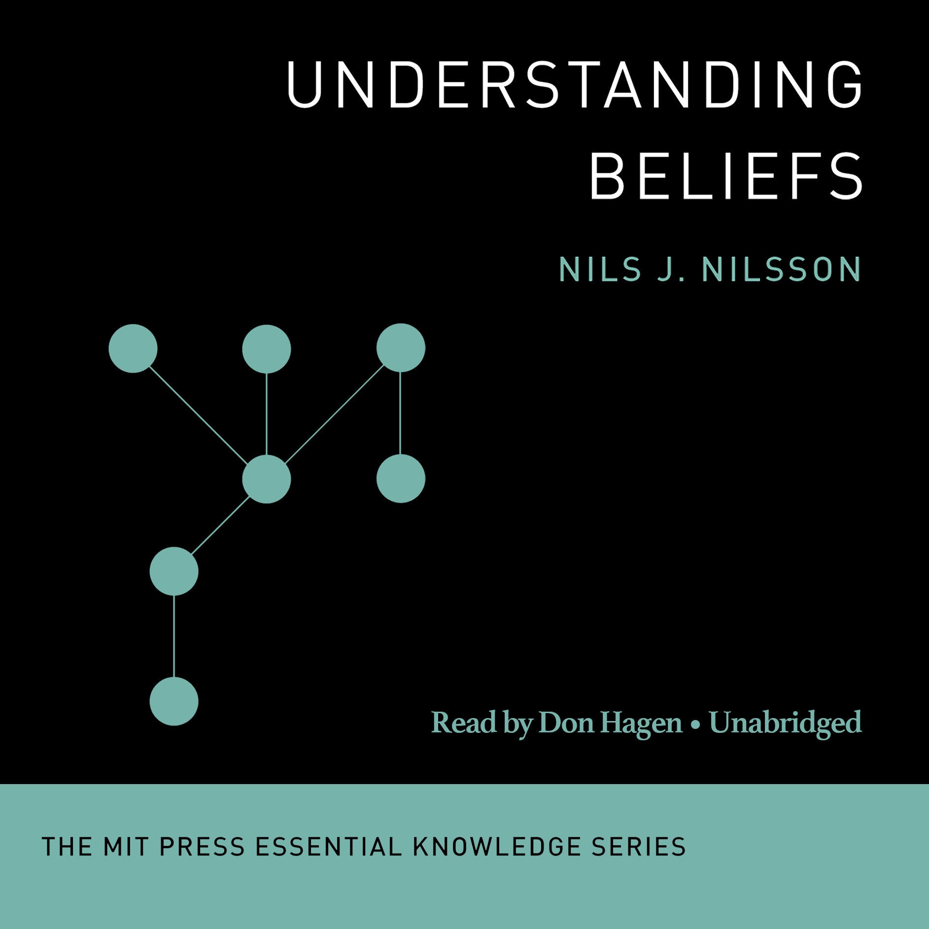 Understanding Beliefs