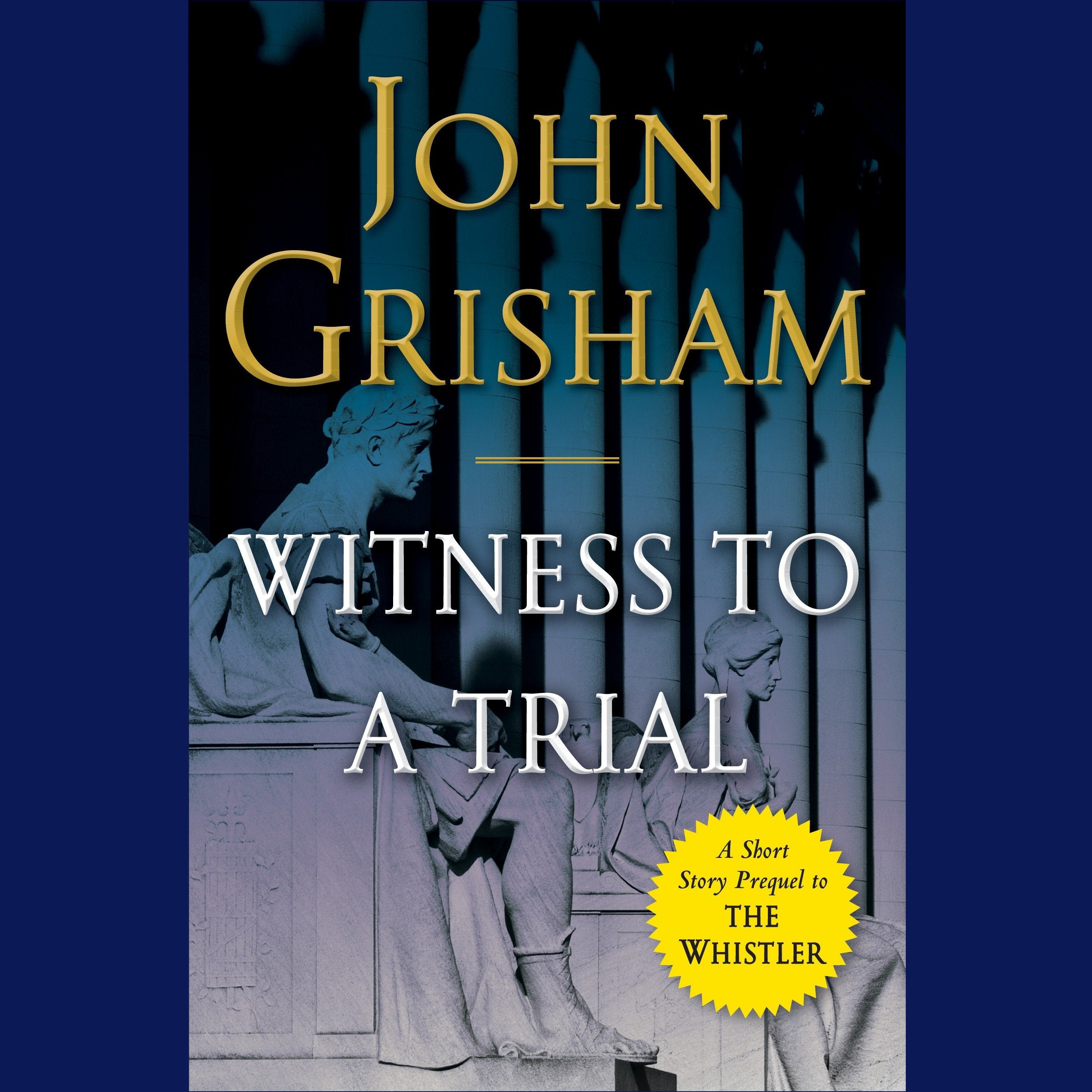 Witness to a Trial