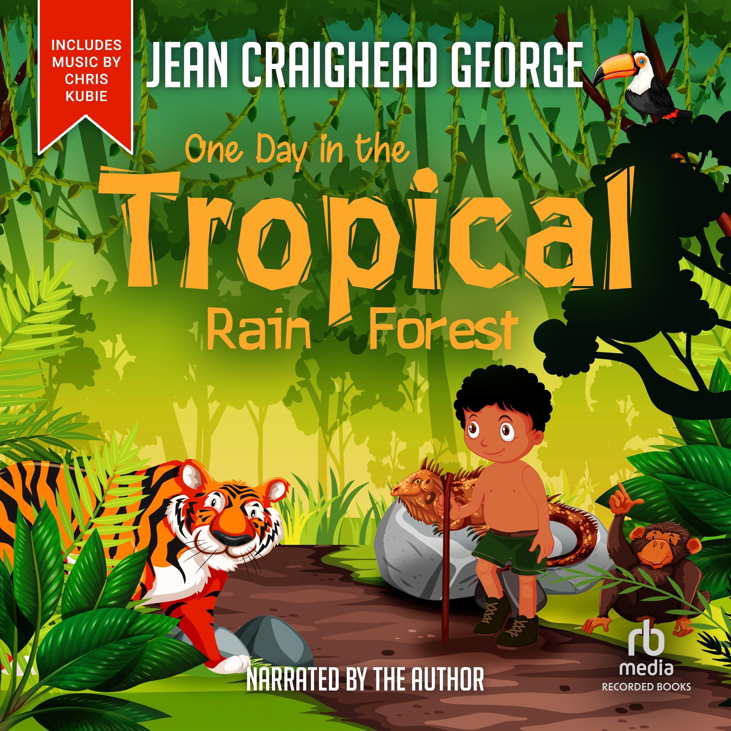 One Day in the Tropical Rain Forest