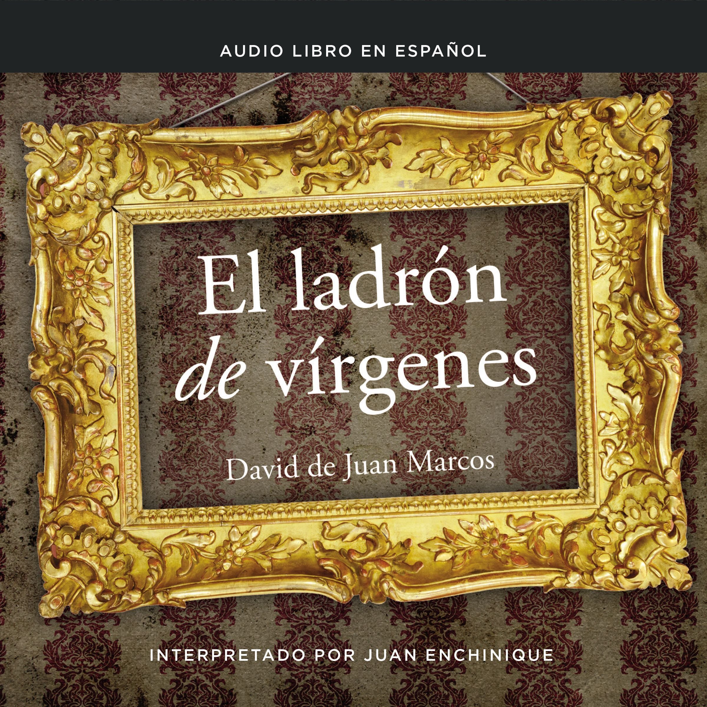 El ladrón de vírgenes