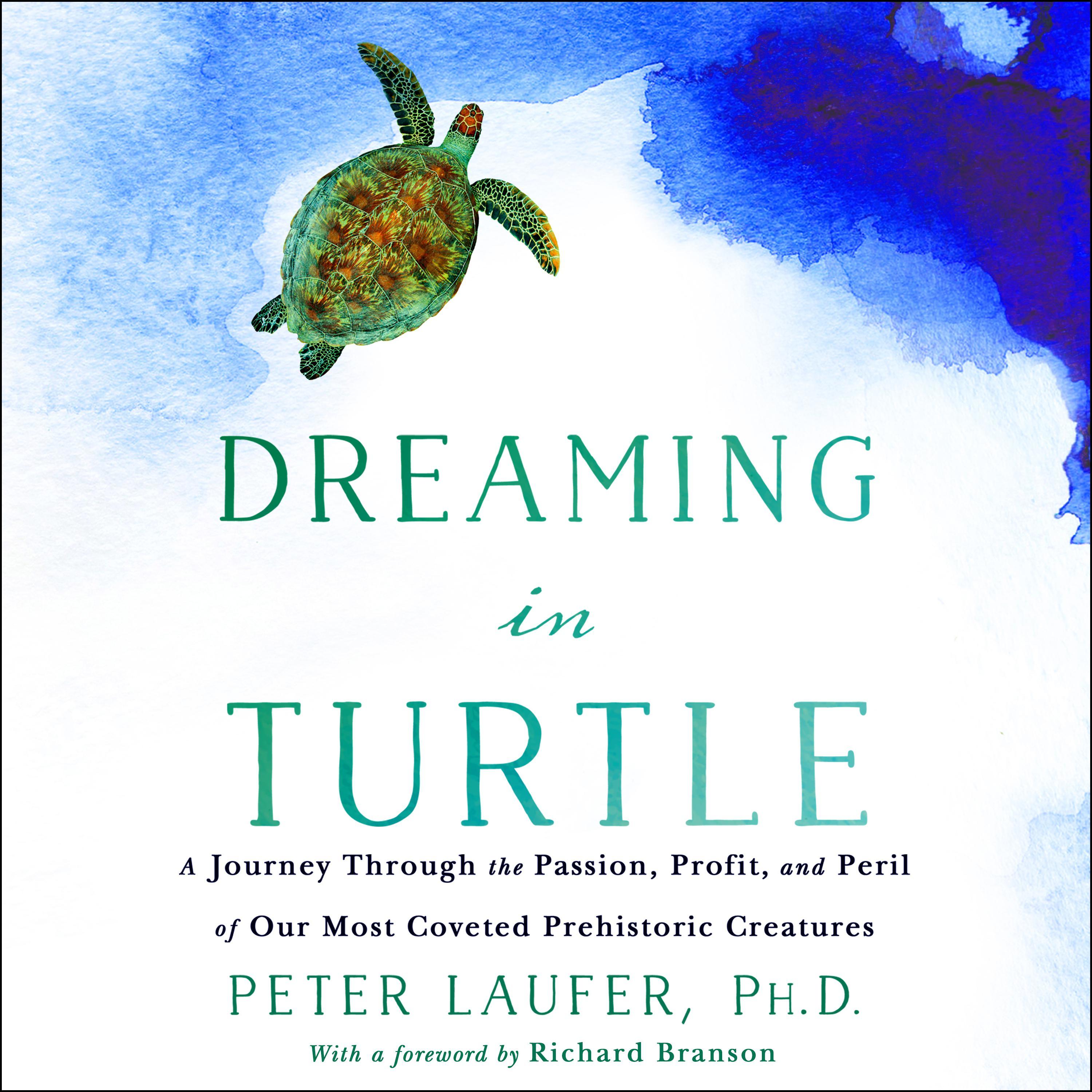 Dreaming in Turtle
