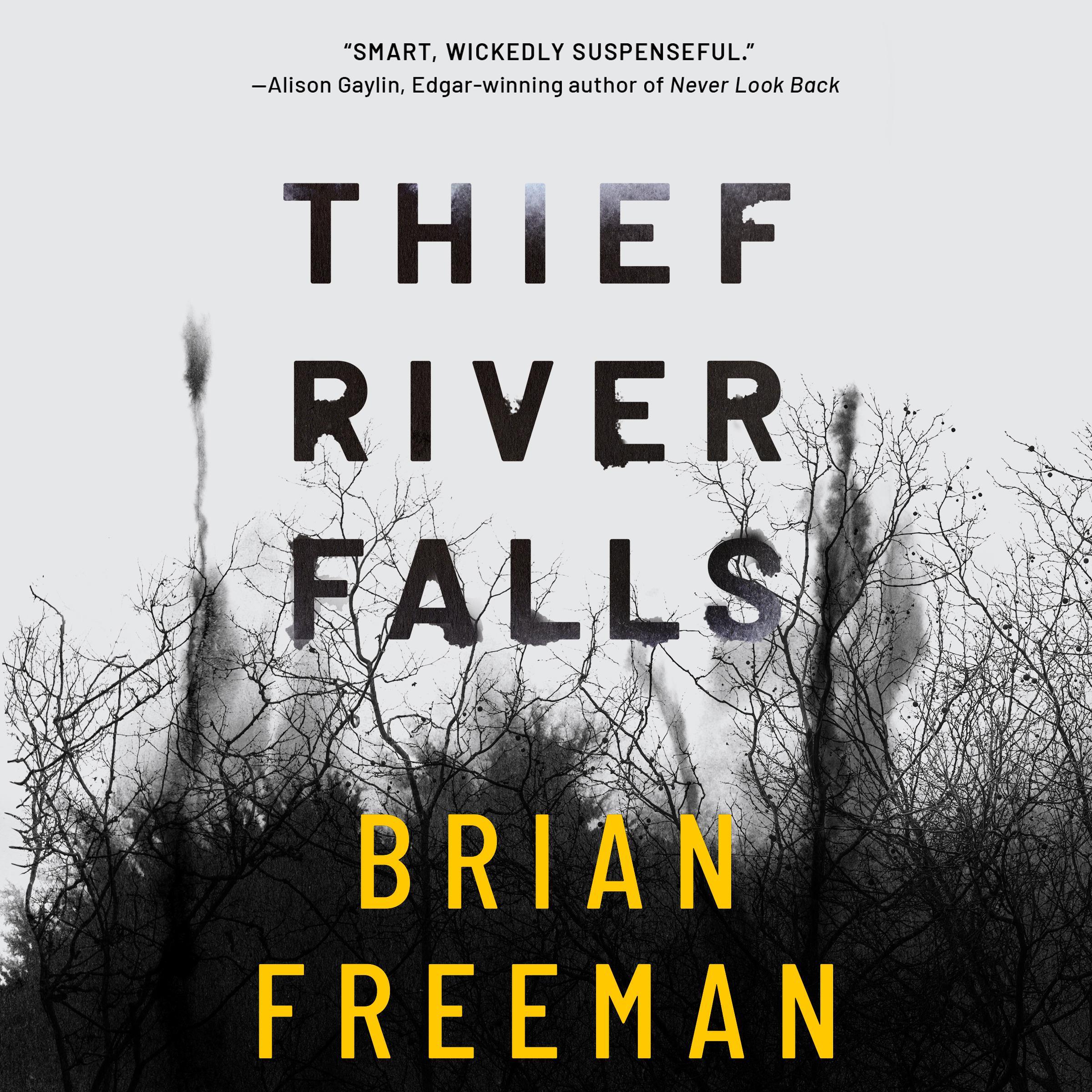 Thief River Falls