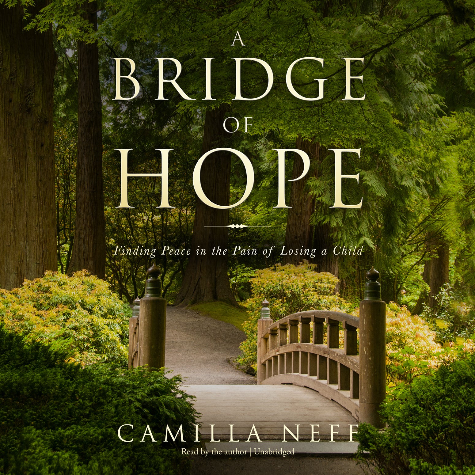 A Bridge of Hope