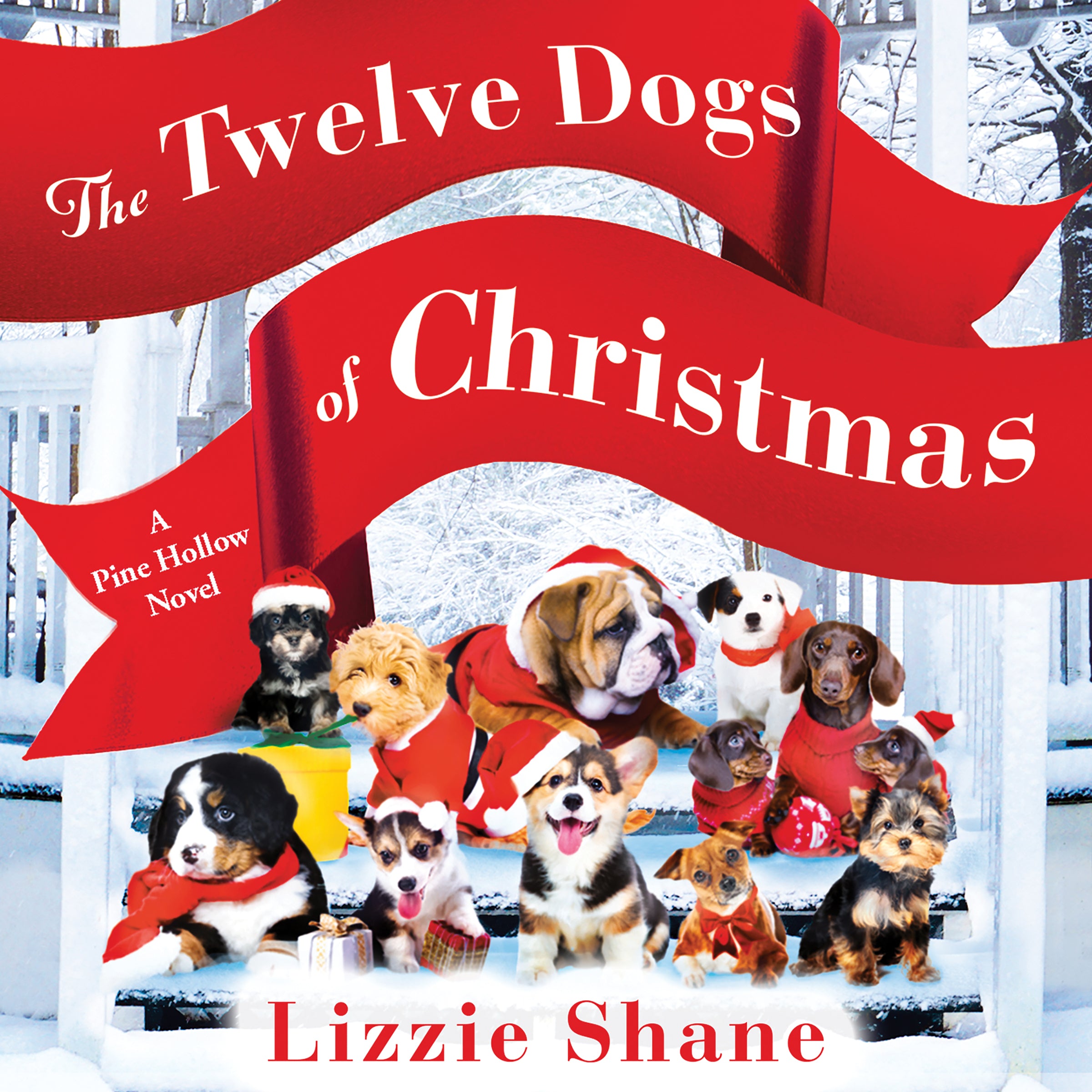 The Twelve Dogs of Christmas
