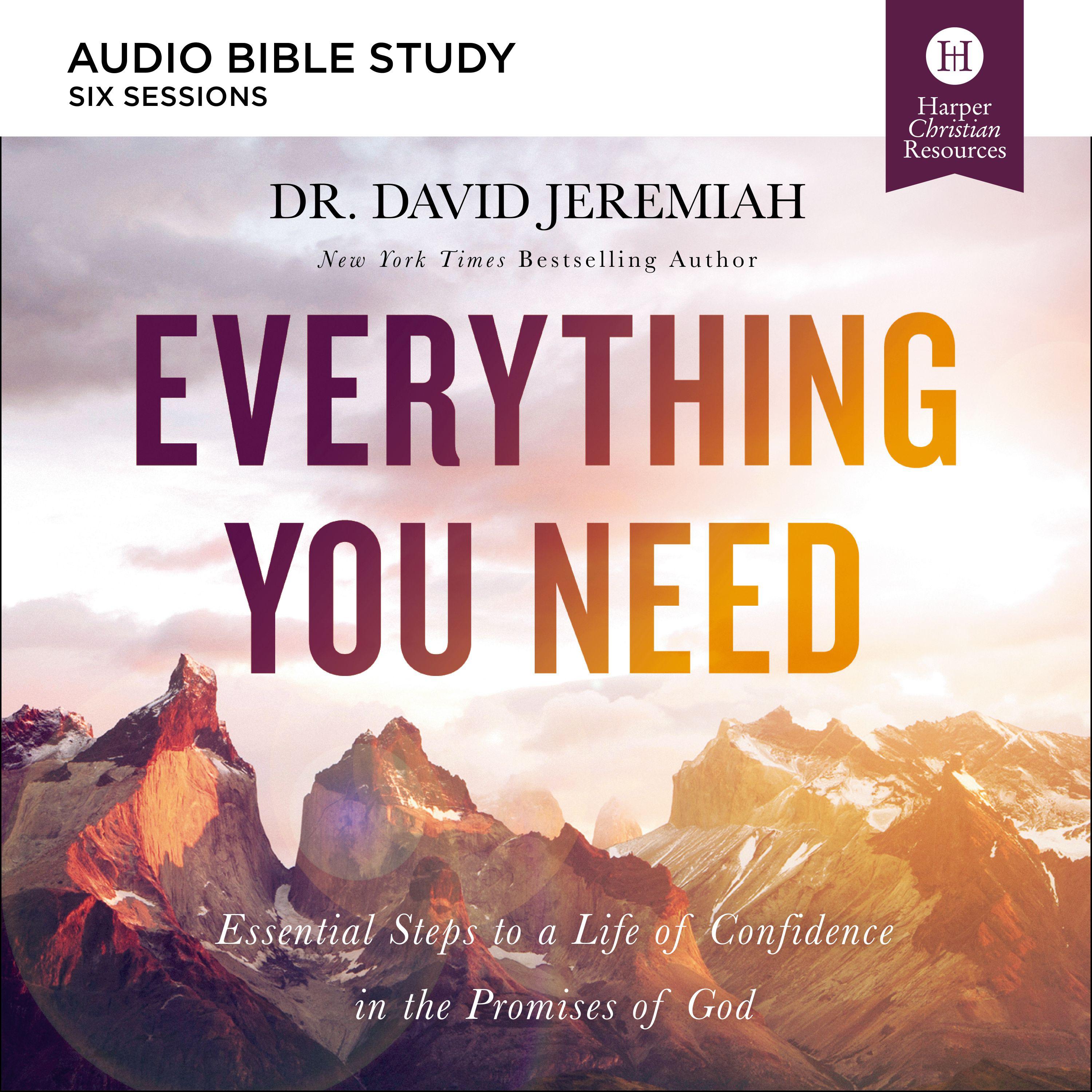 Everything You Need: Audio Bible Studies