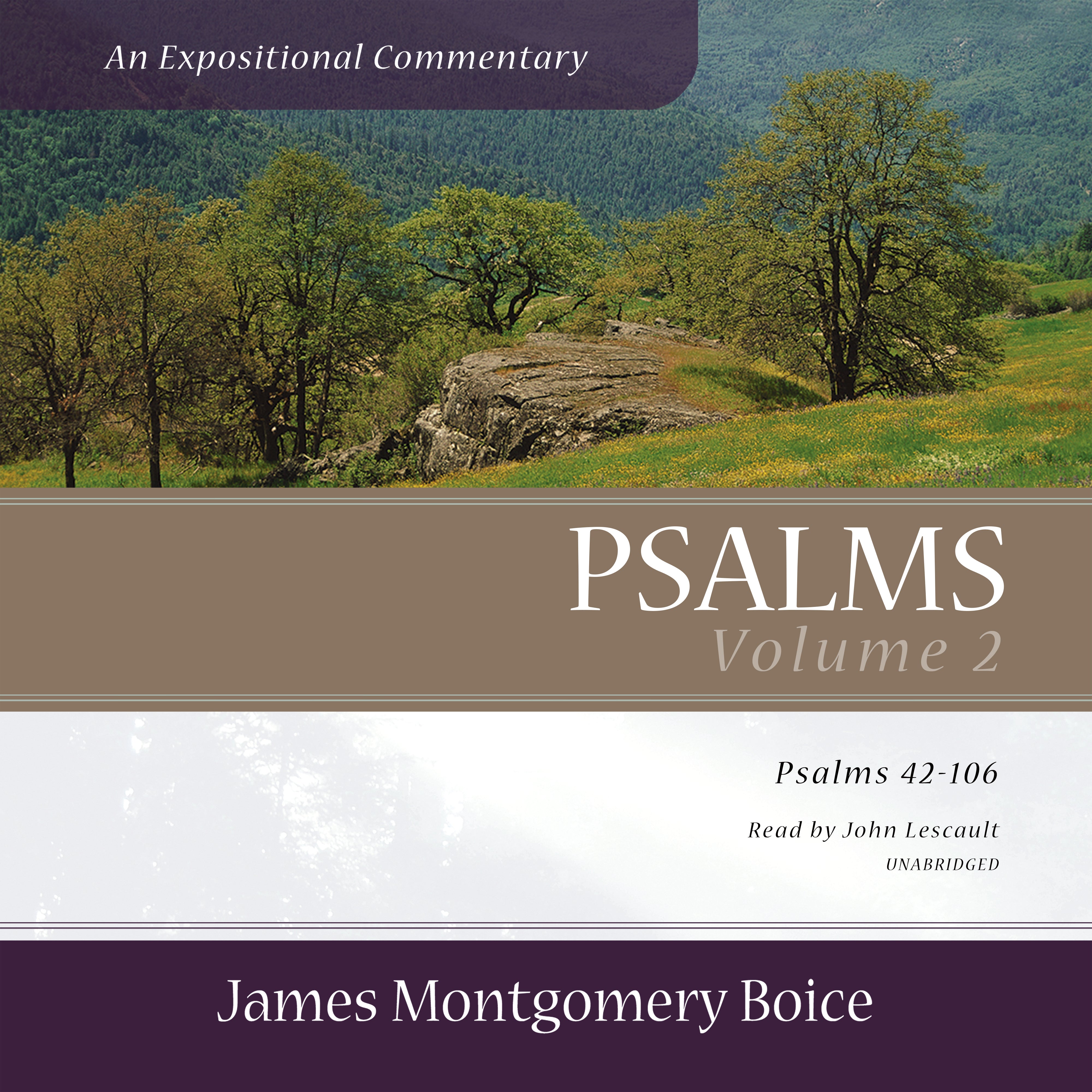 Psalms: An Expositional Commentary, Vol. 2