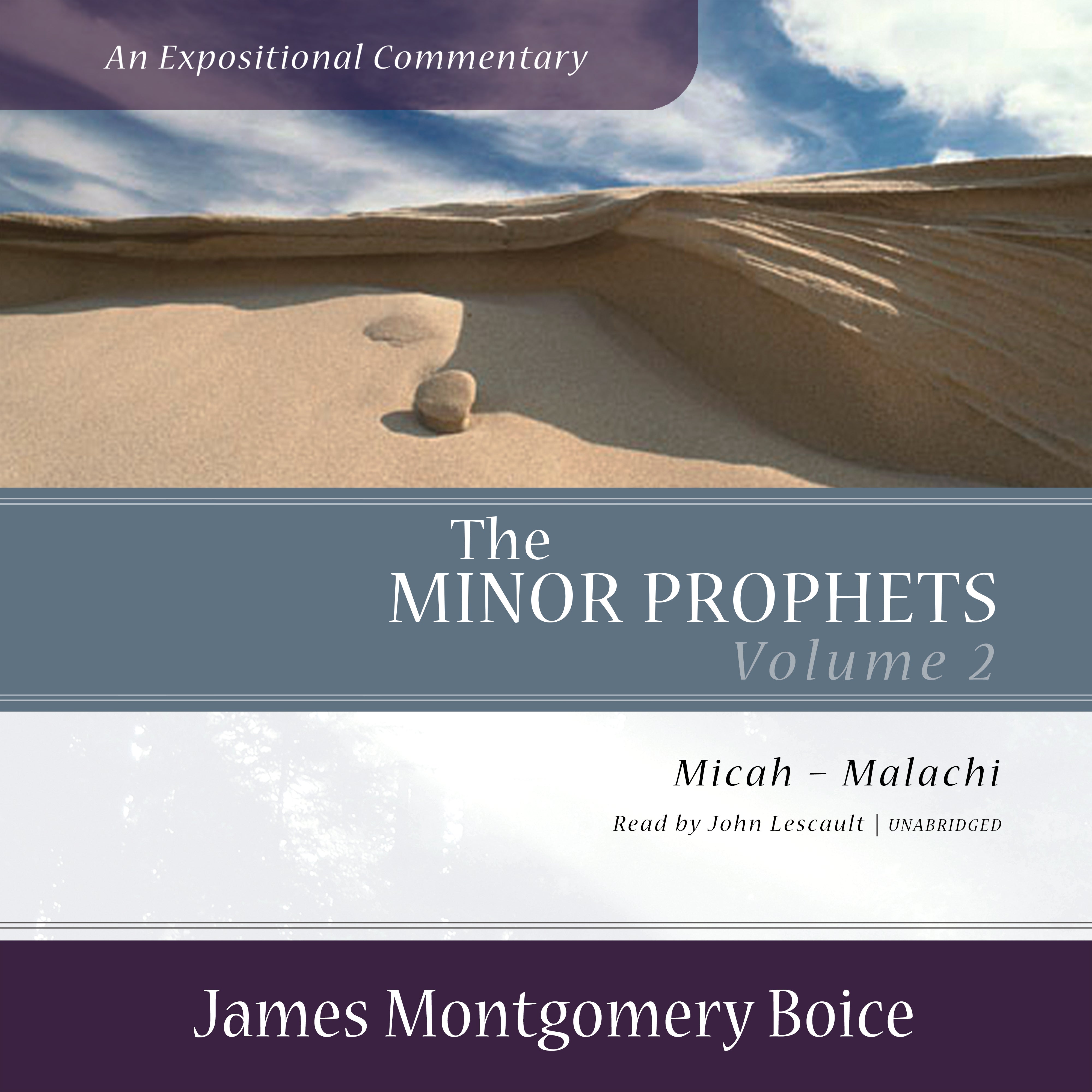 The Minor Prophets: An Expositional Commentary, Volume 2