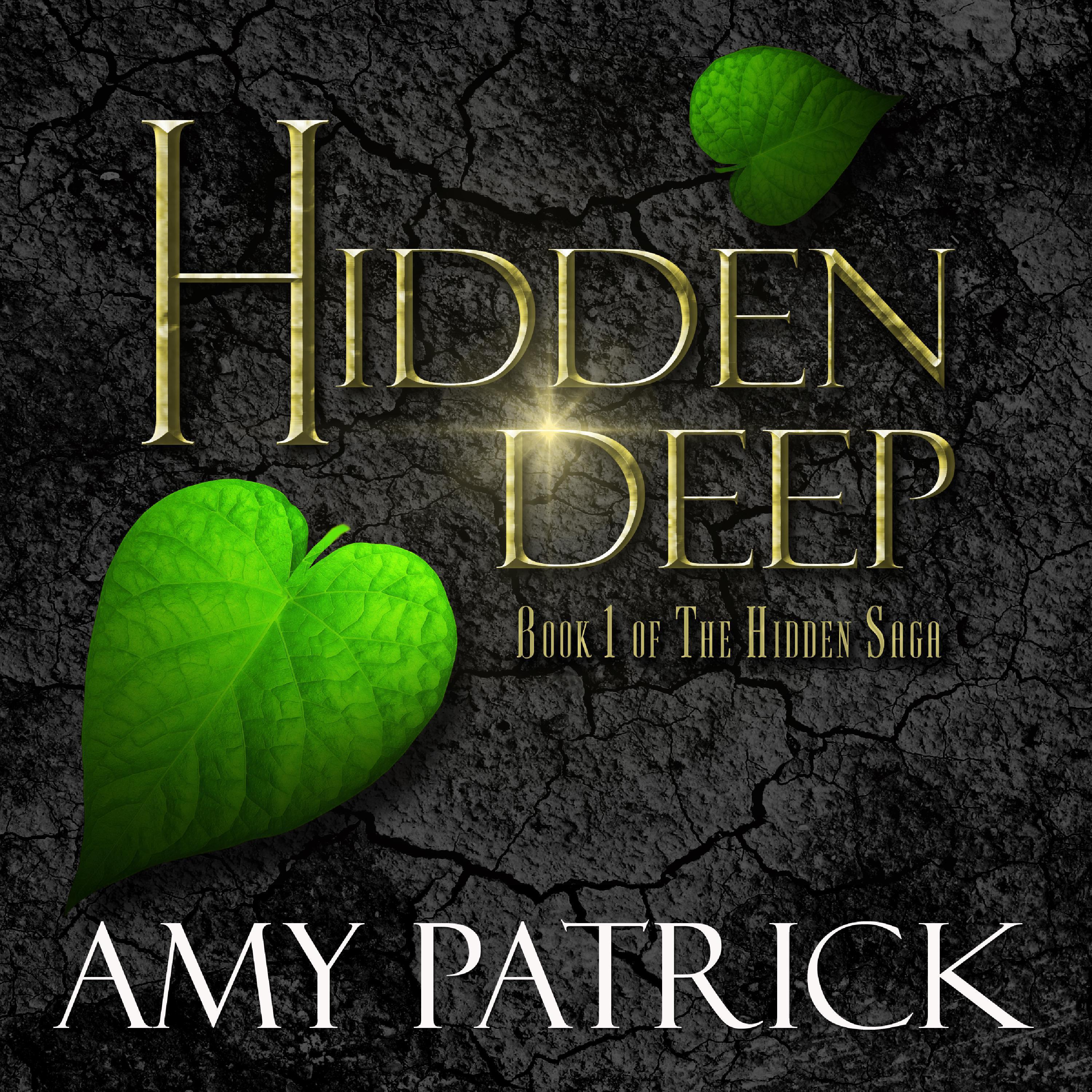 Hidden Deep- Book 1 of the Hidden Saga