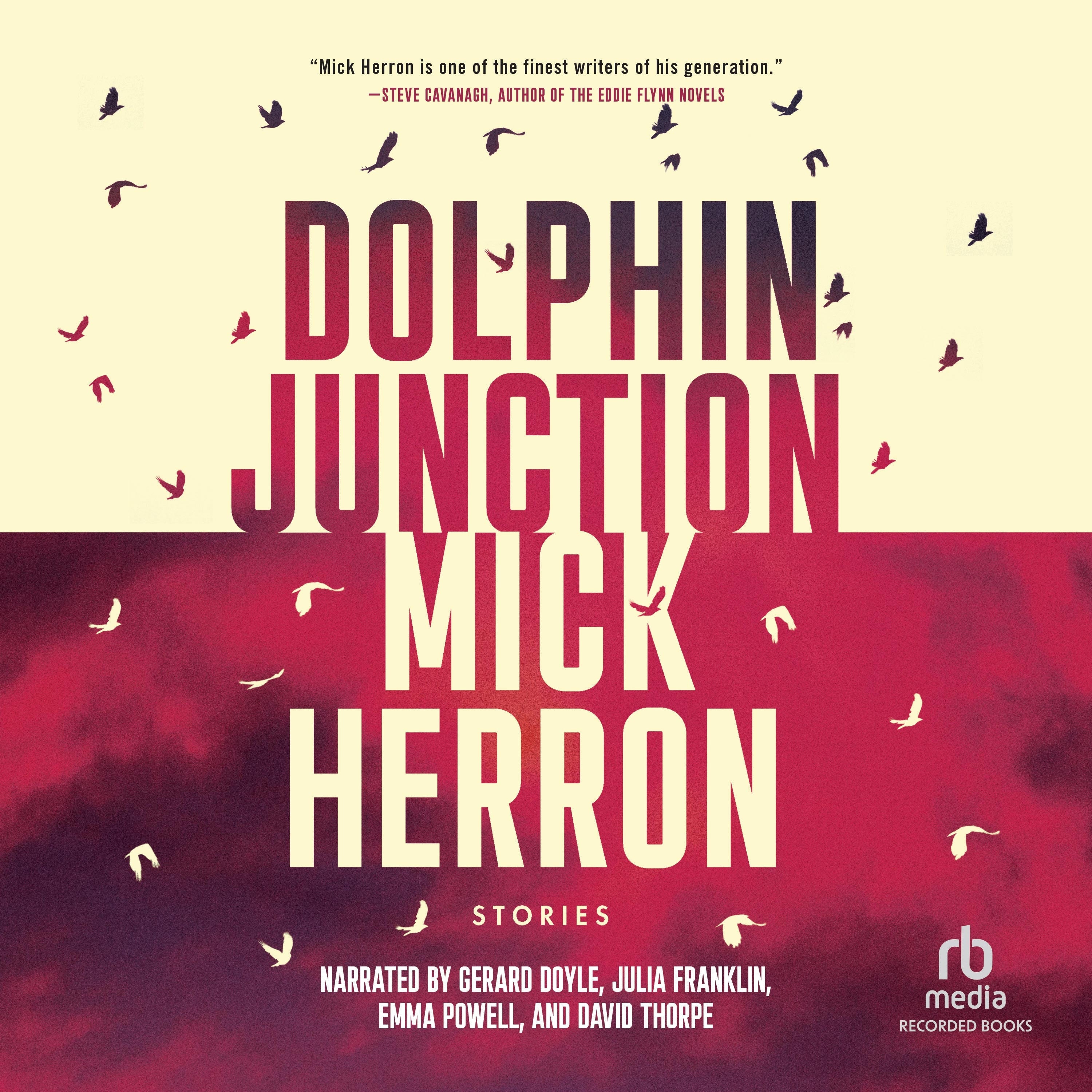 Dolphin Junction: Stories