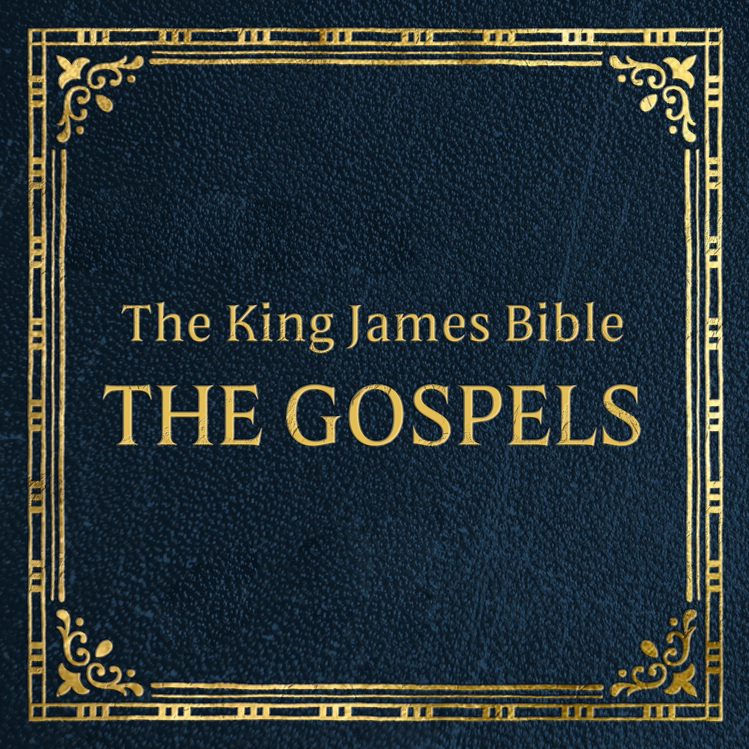King James Version Holy Bible - The Gospels