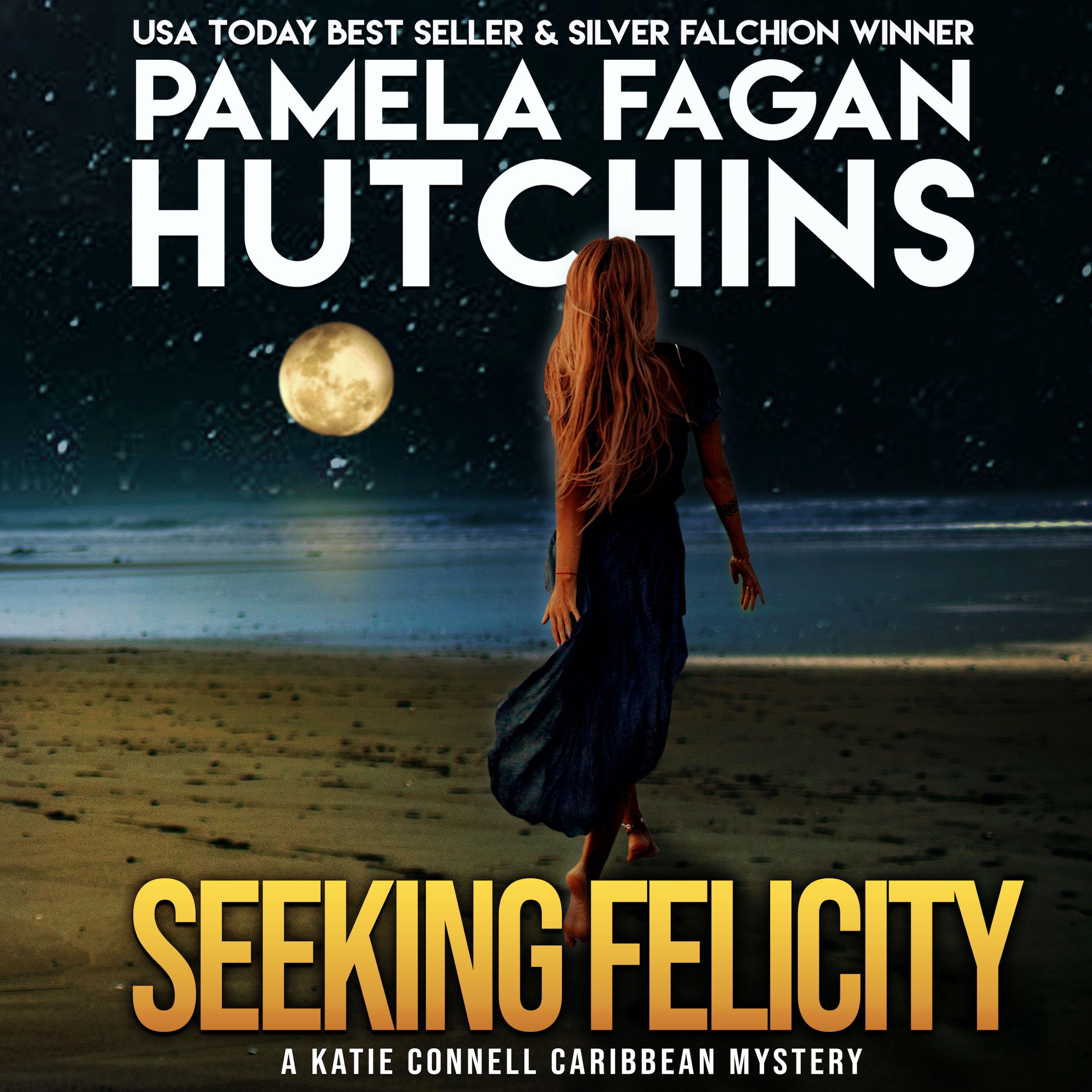 Seeking Felicity (A Katie Connell Texas-to-Caribbean Mystery)