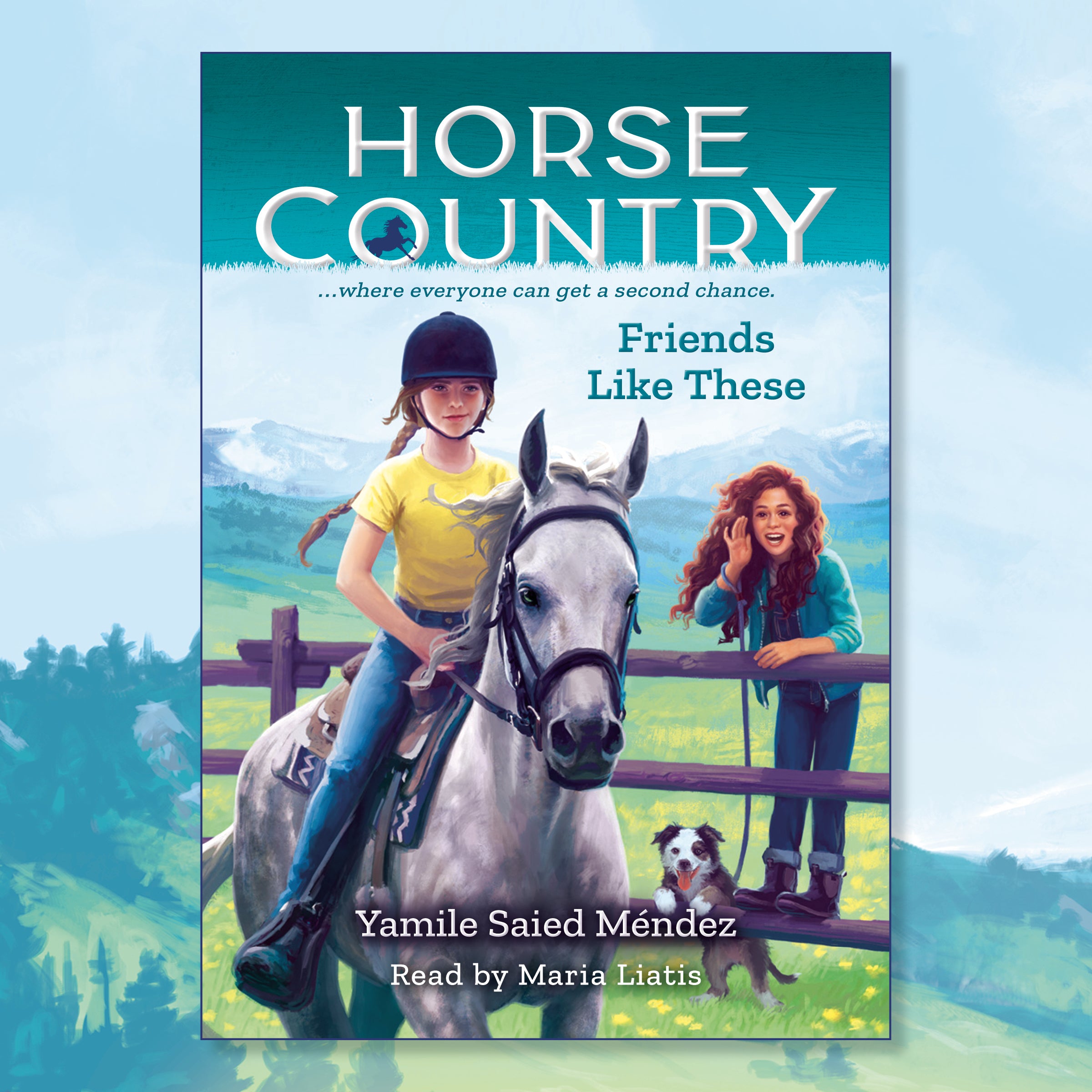 Friends Like These (Horse Country #2)