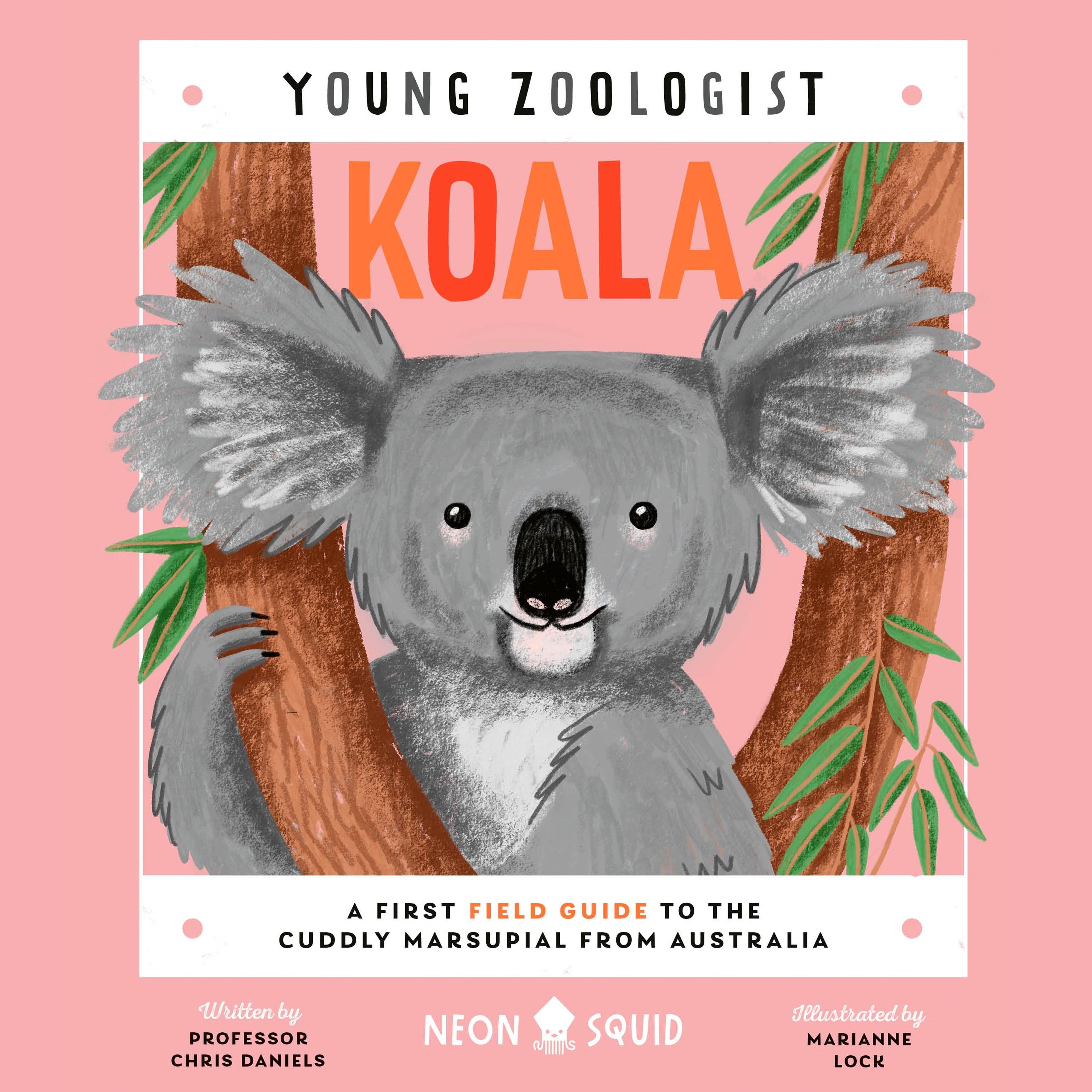 Koala (Young Zoologist)