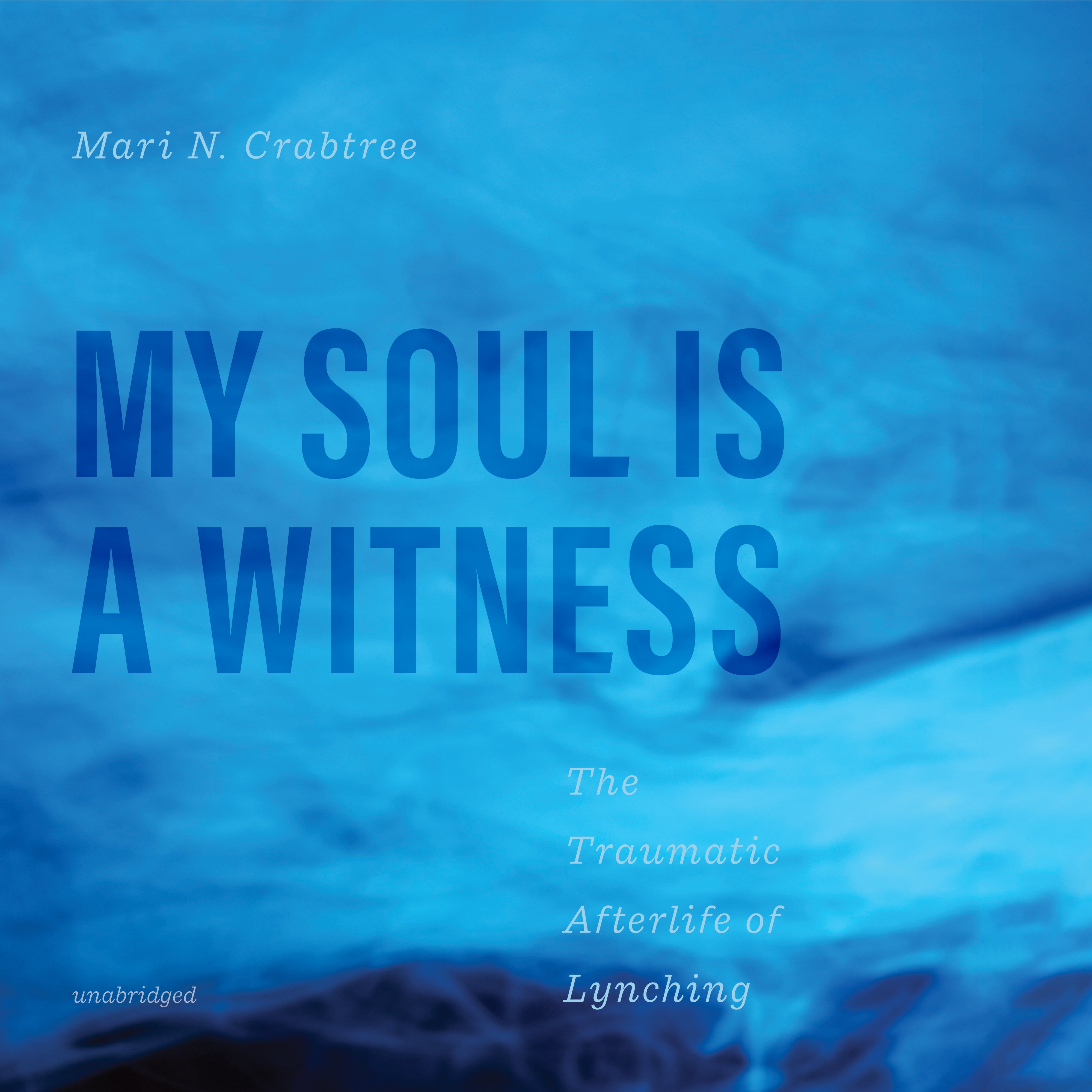 My Soul Is a Witness