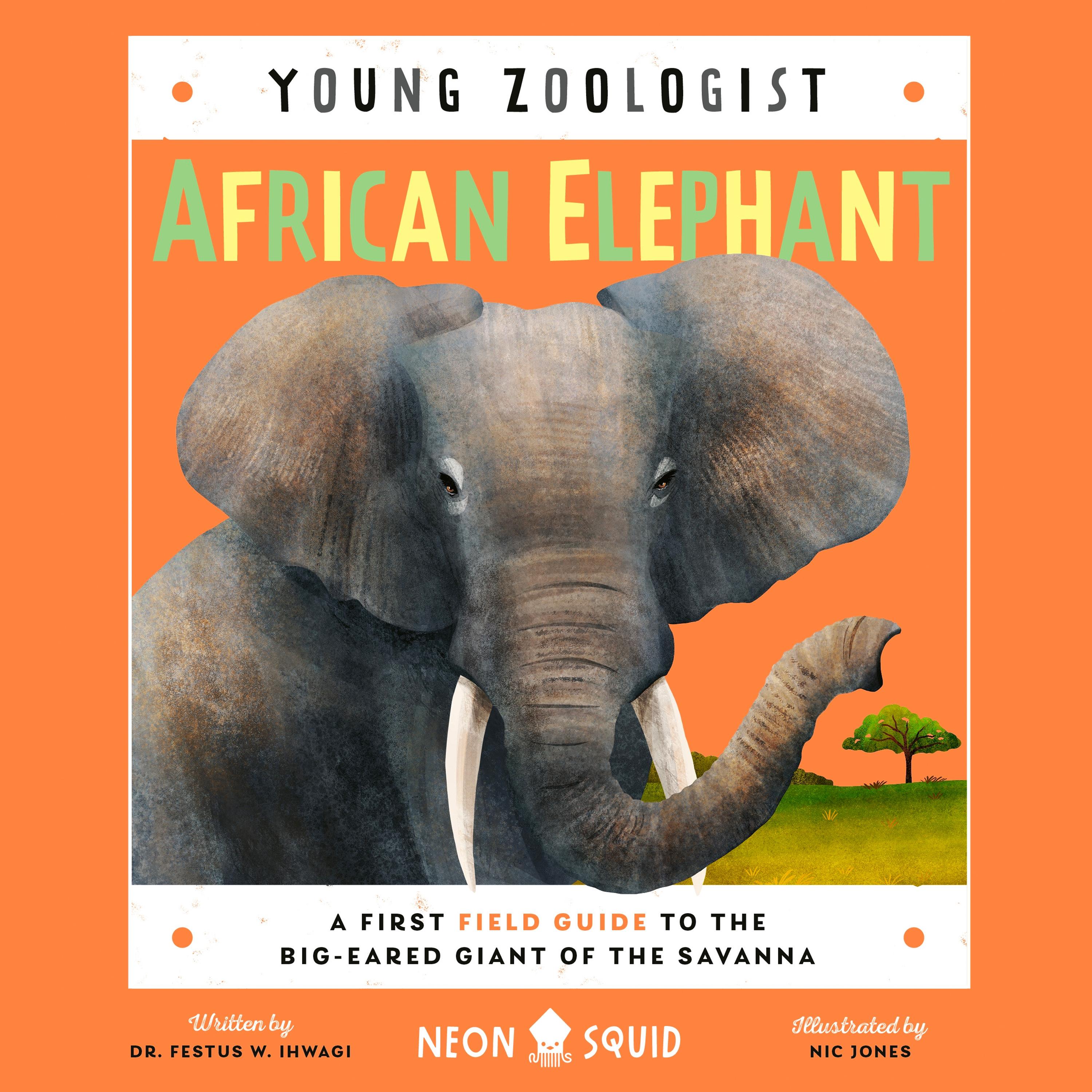 African Elephant (Young Zoologist)