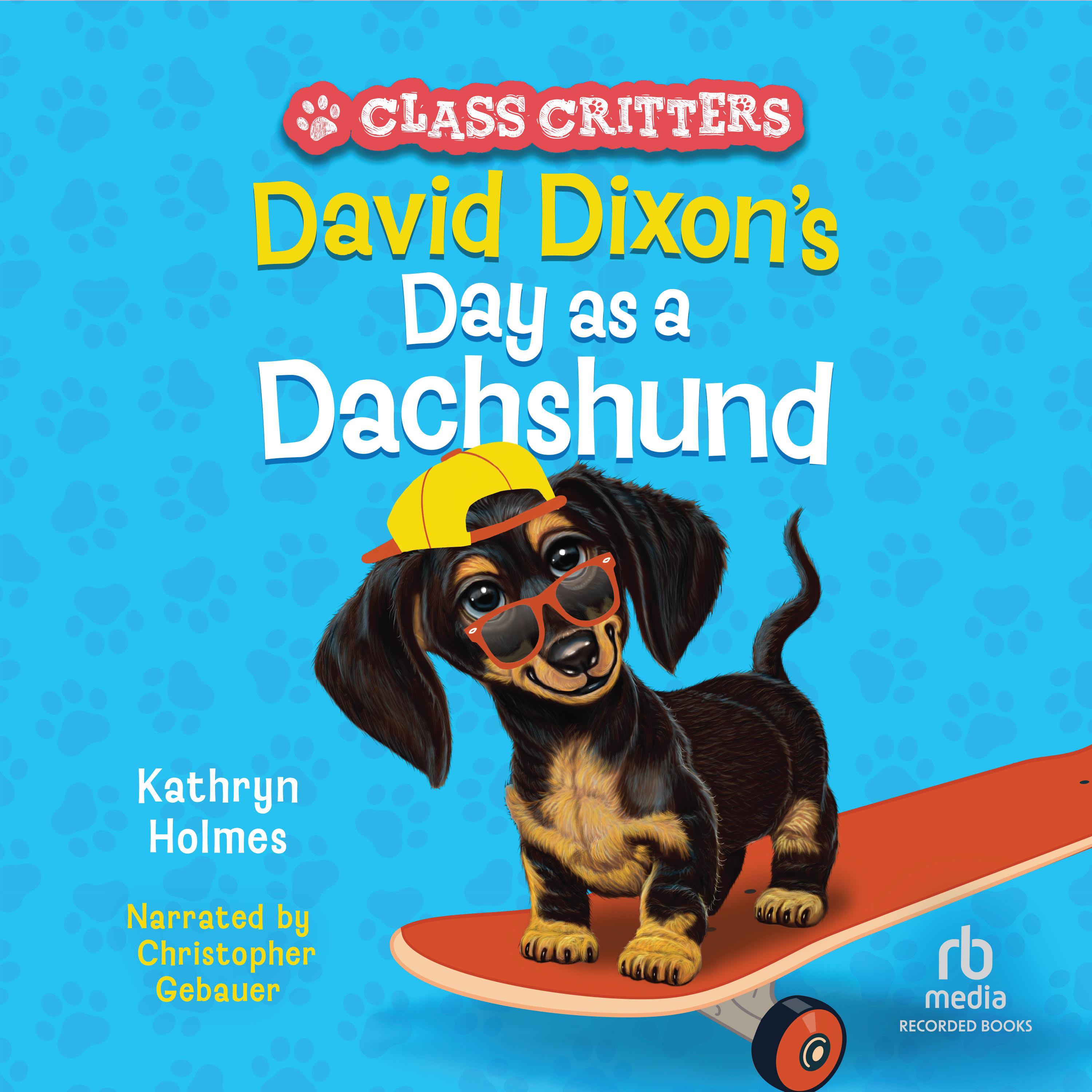 David Dixon's Day as a Dachshund