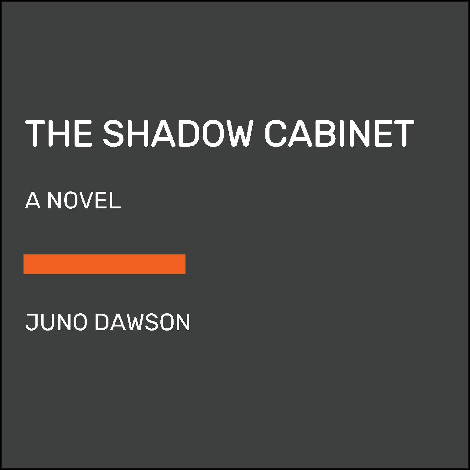 The Shadow Cabinet