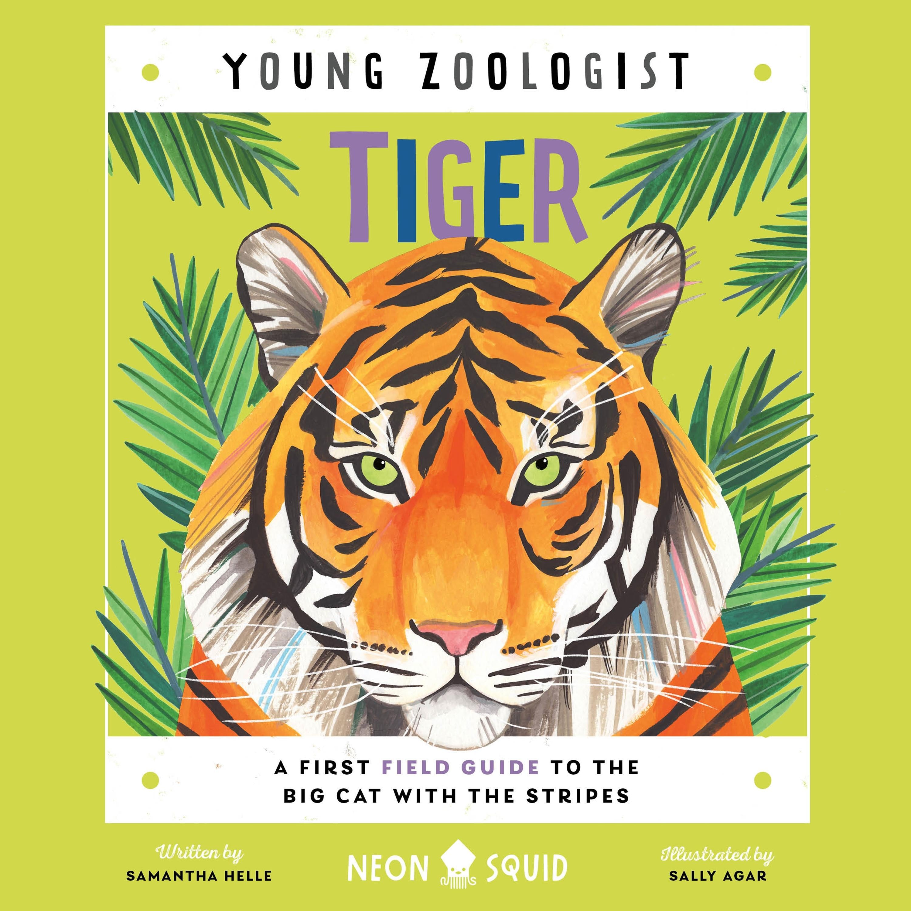 Tiger (Young Zoologist)