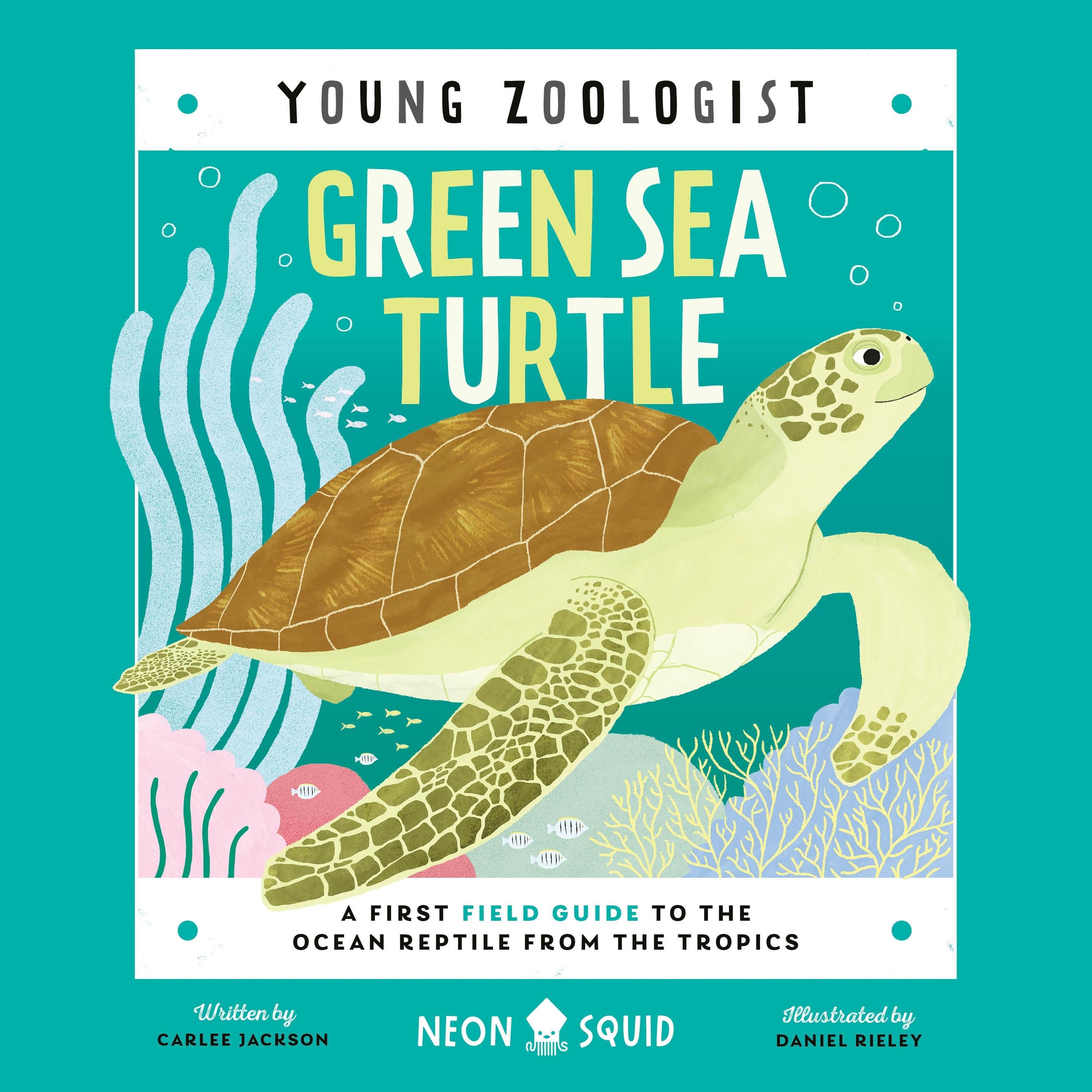 Green Sea Turtle (Young Zoologist)