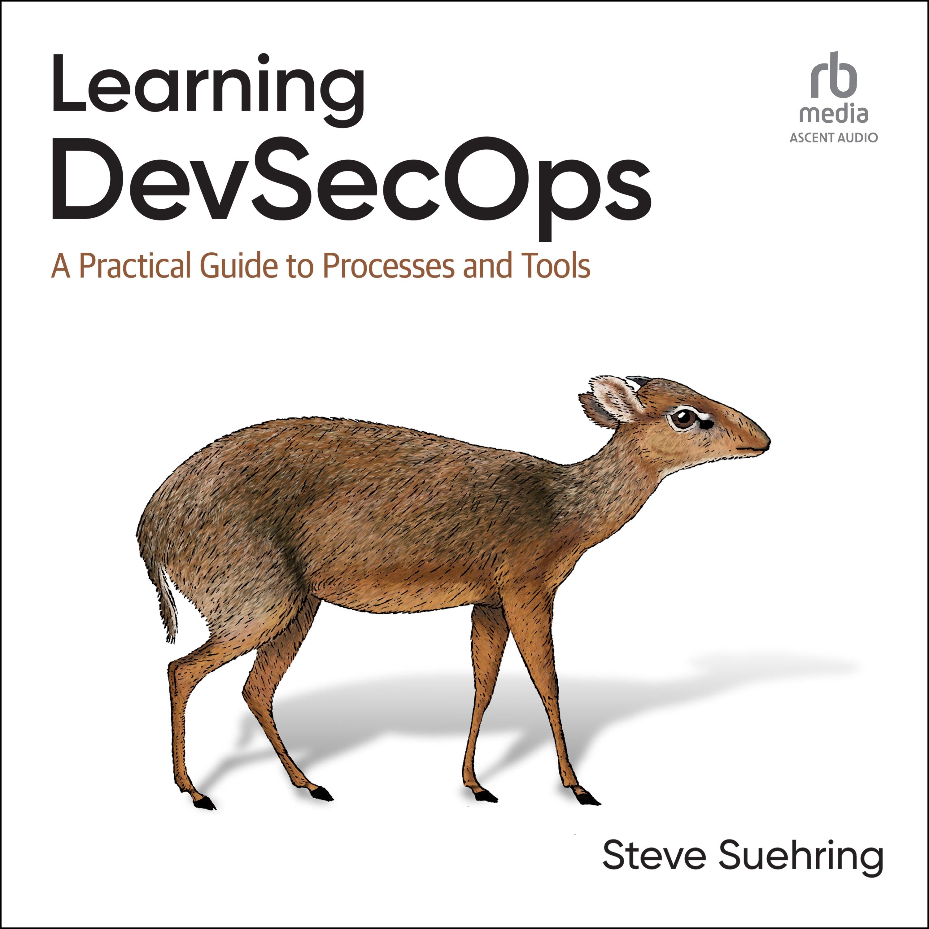 Learning DevSecOps