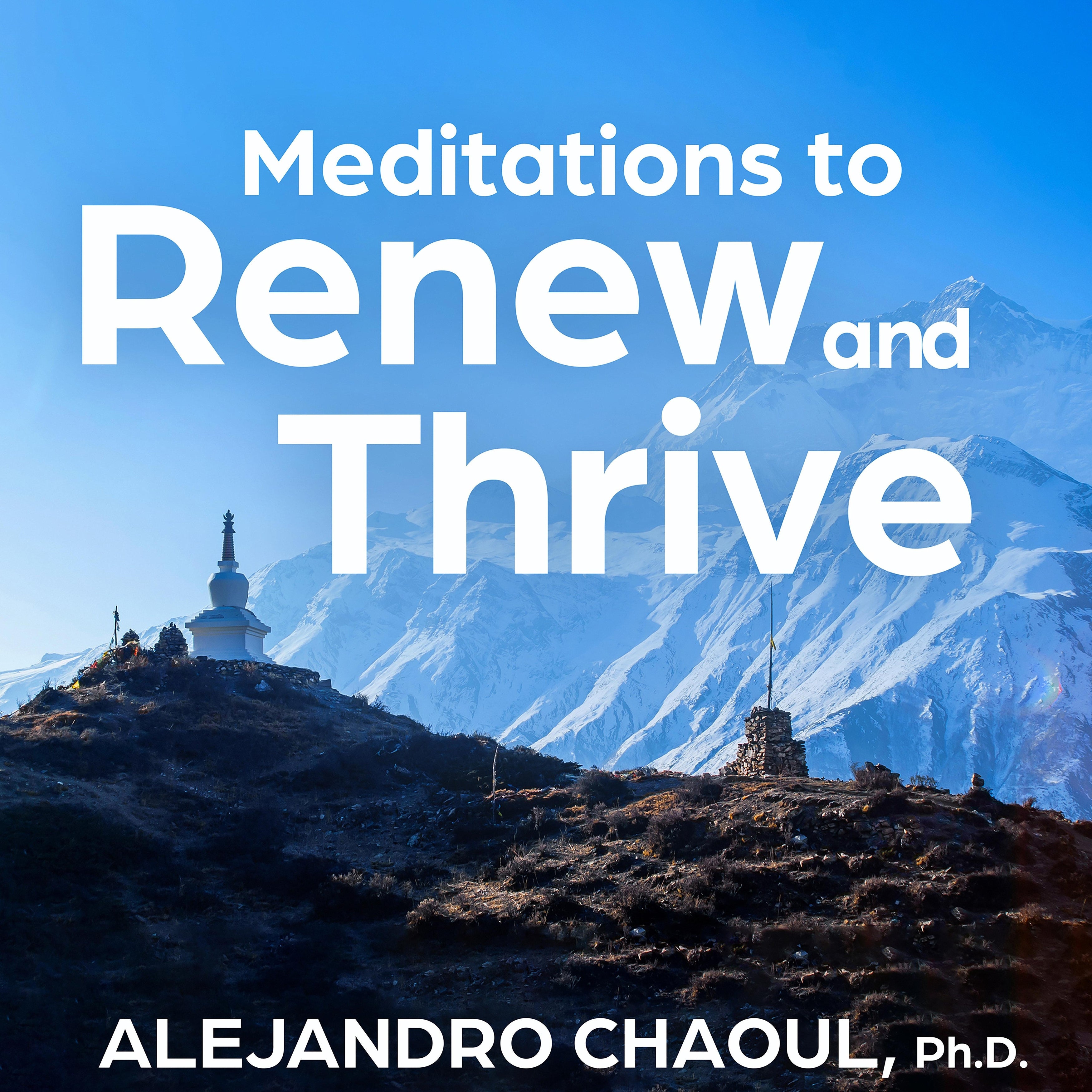 Meditations to Renew and Thrive
