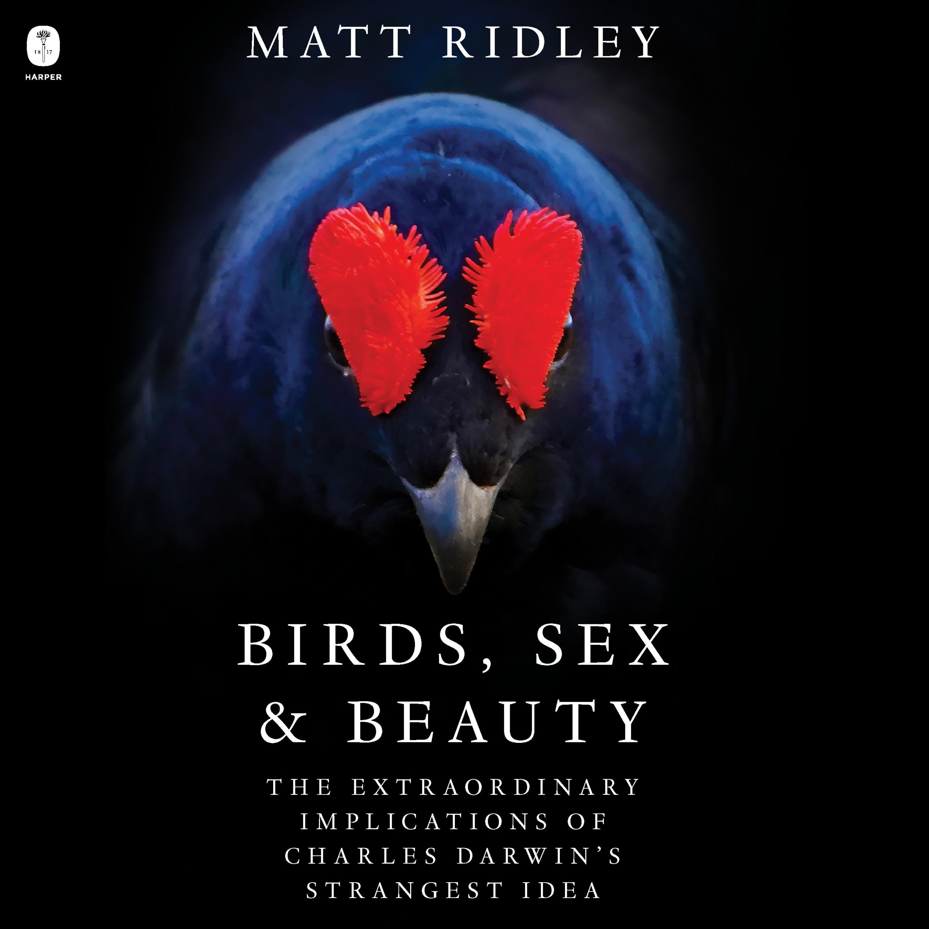 Birds, Sex &amp; Beauty