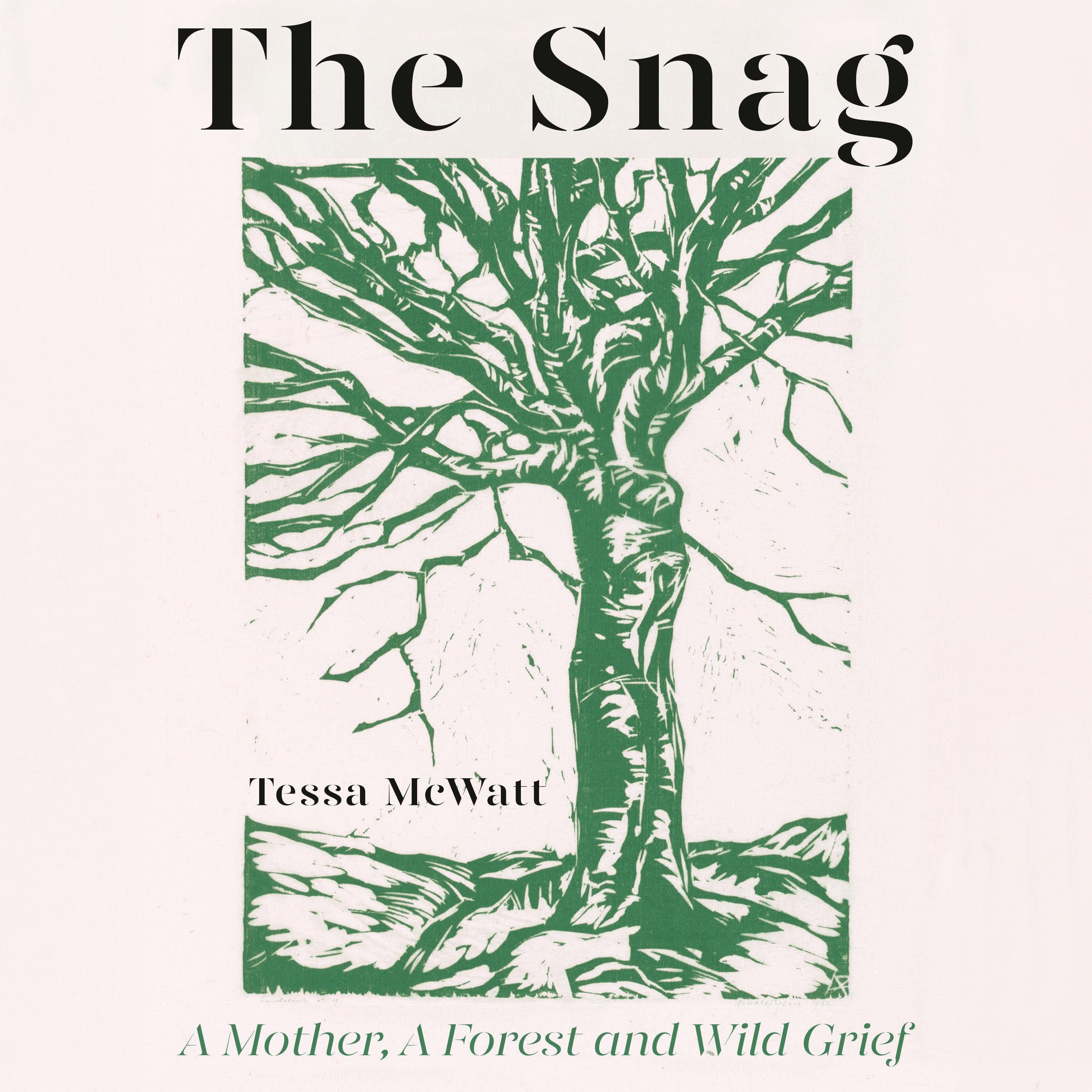 The Snag