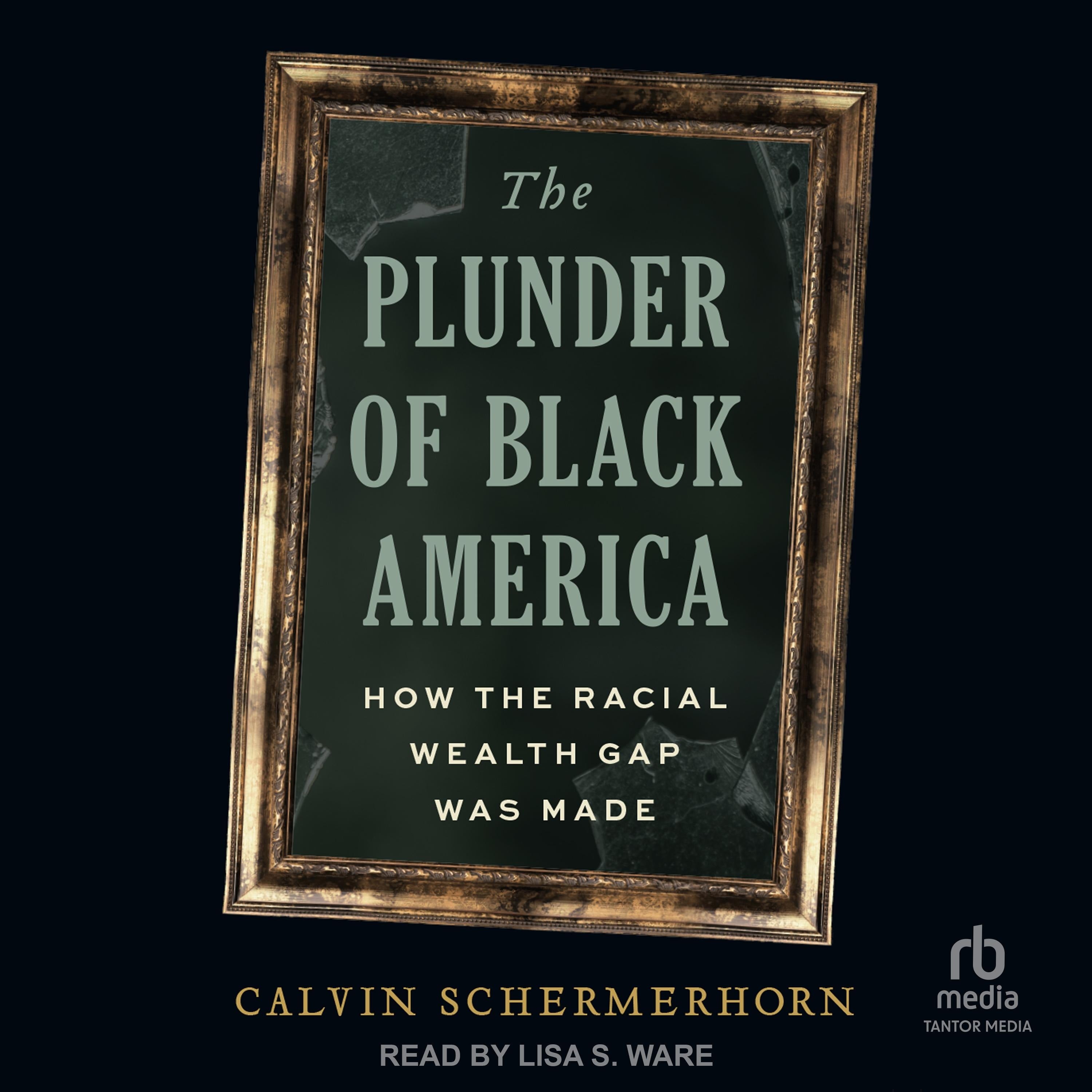 The Plunder of Black America