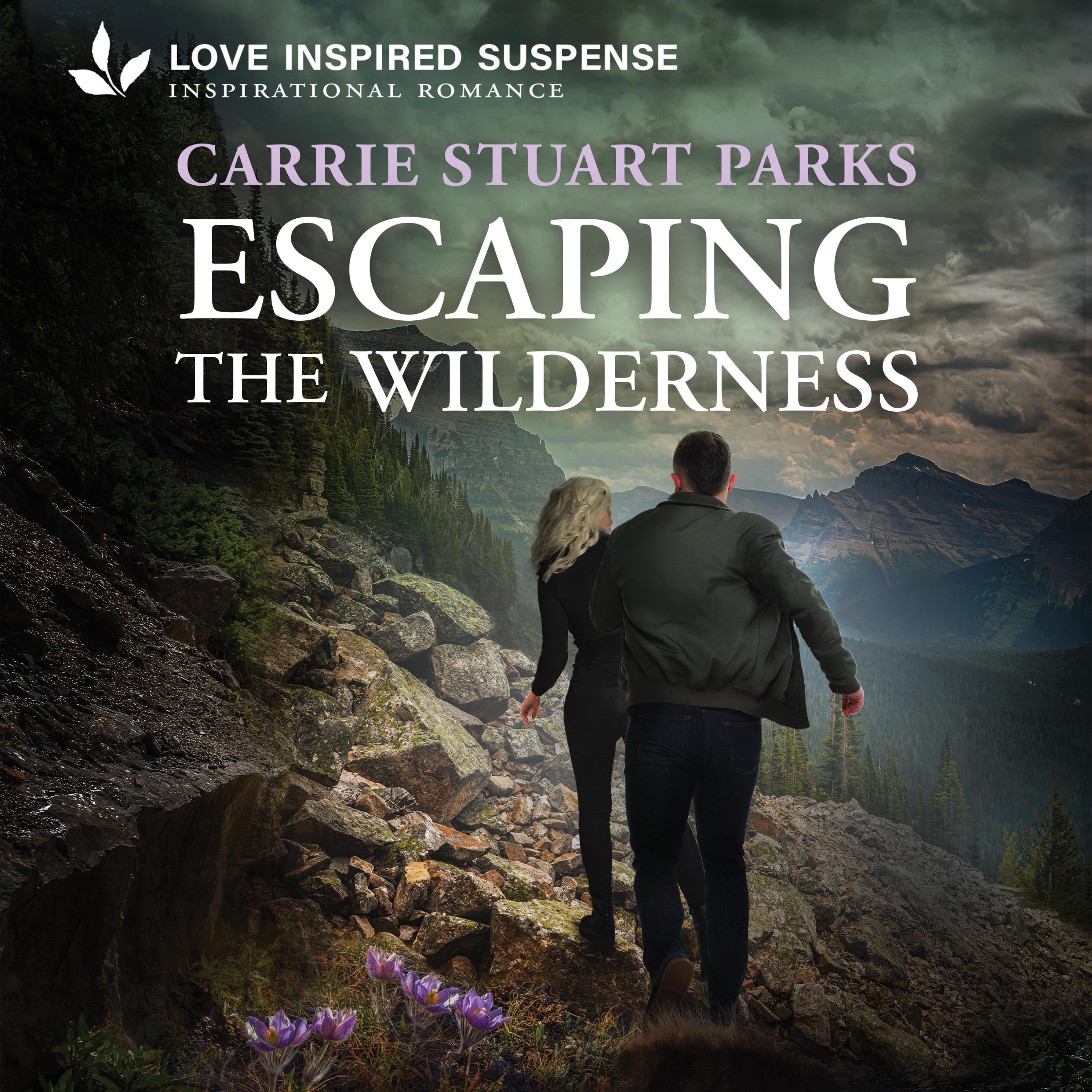 Escaping the Wilderness