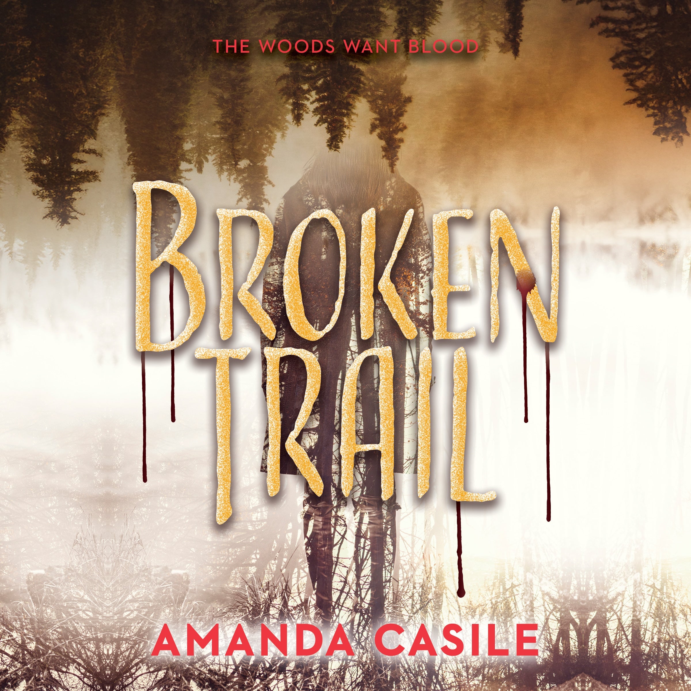 Broken Trail