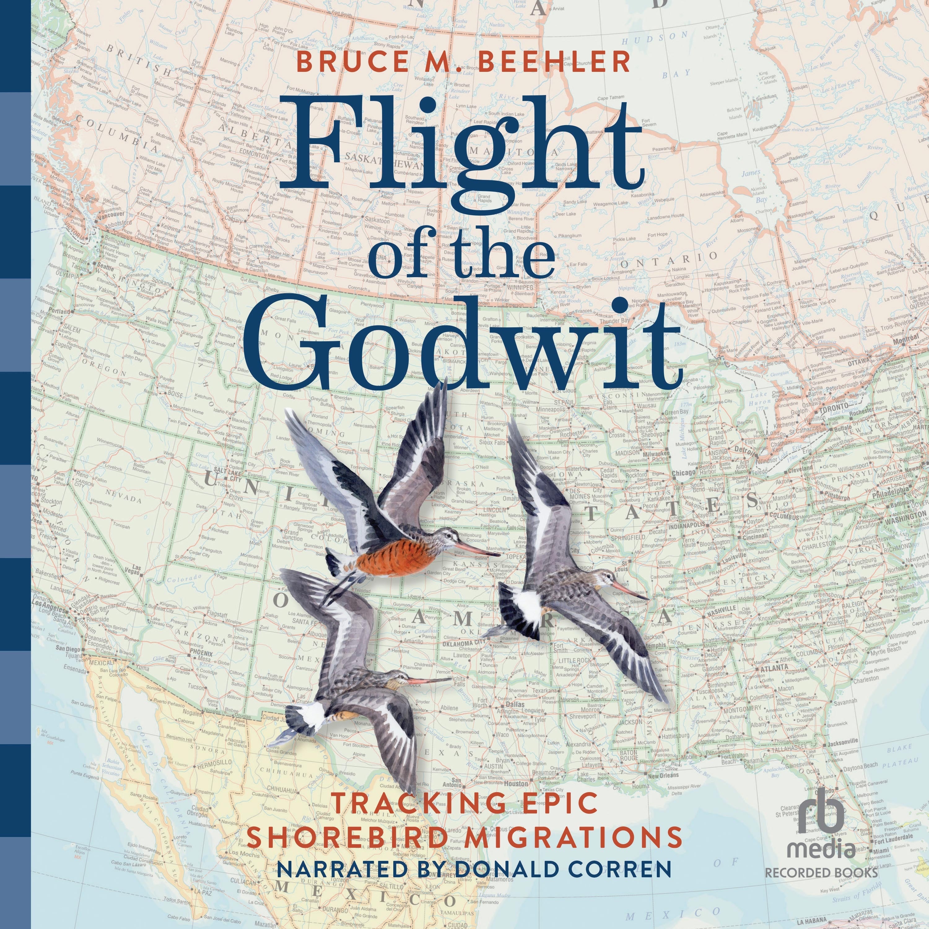 Flight of the Godwit