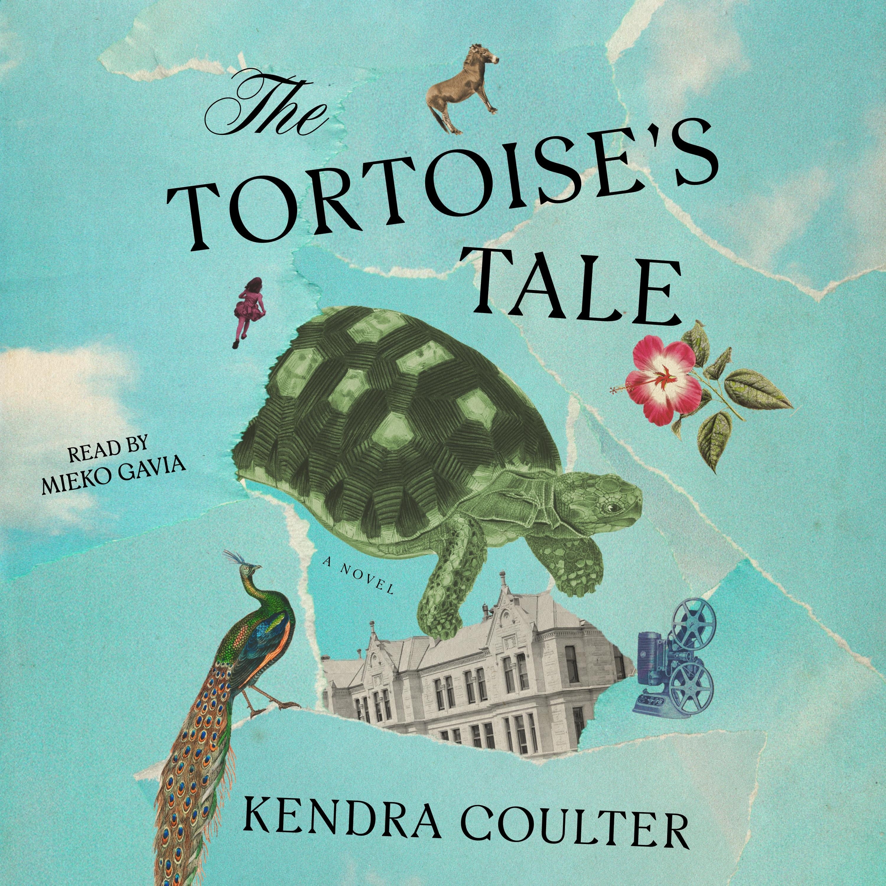 The Tortoise's Tale
