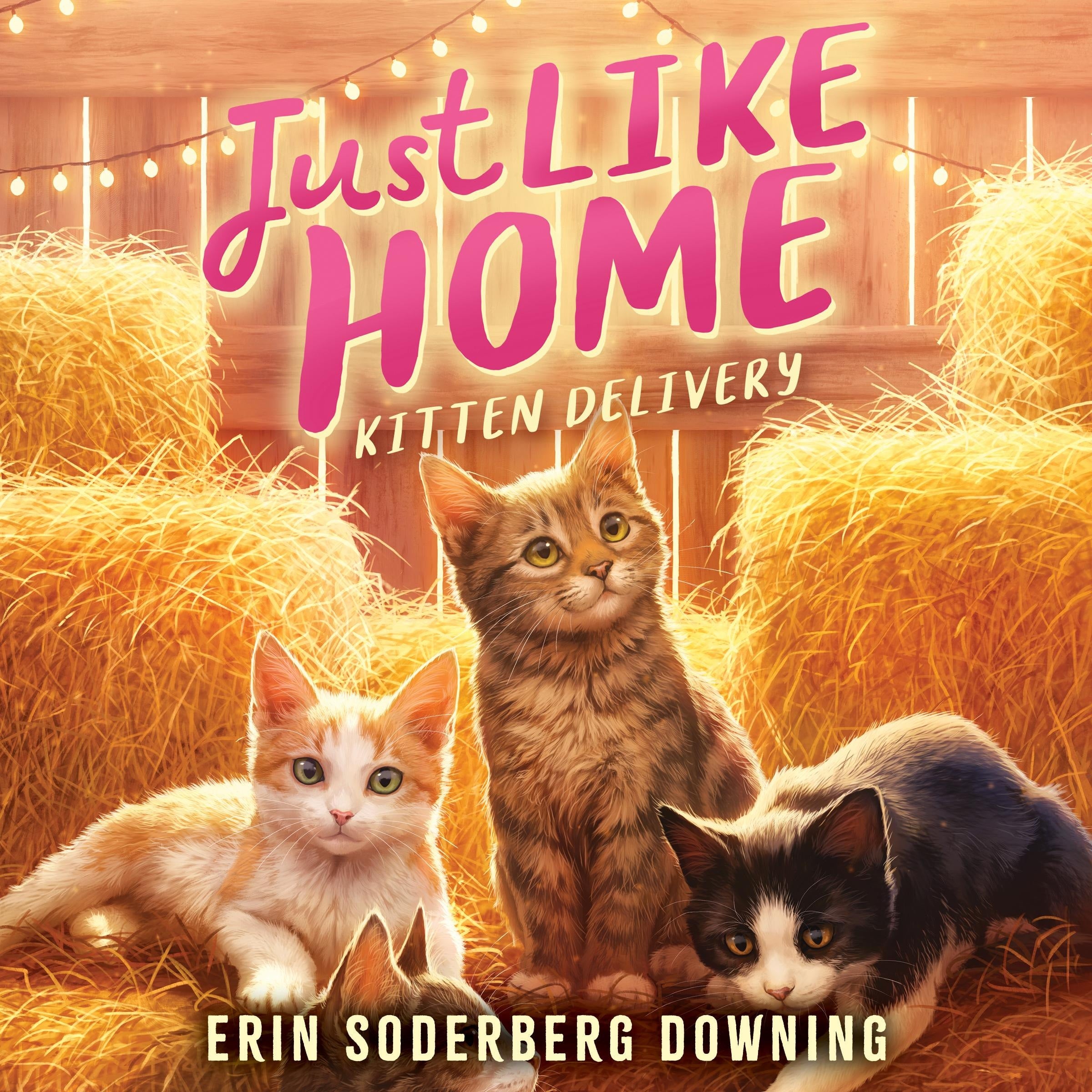 Kitten Delivery (Just like Home, Book Two)
