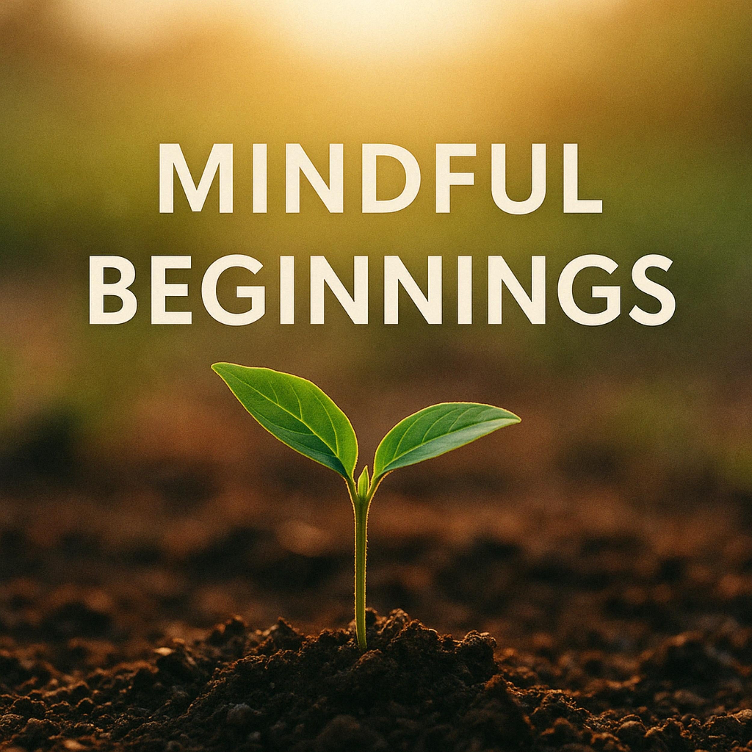 Mindful Beginnings: Book summary & analysis
