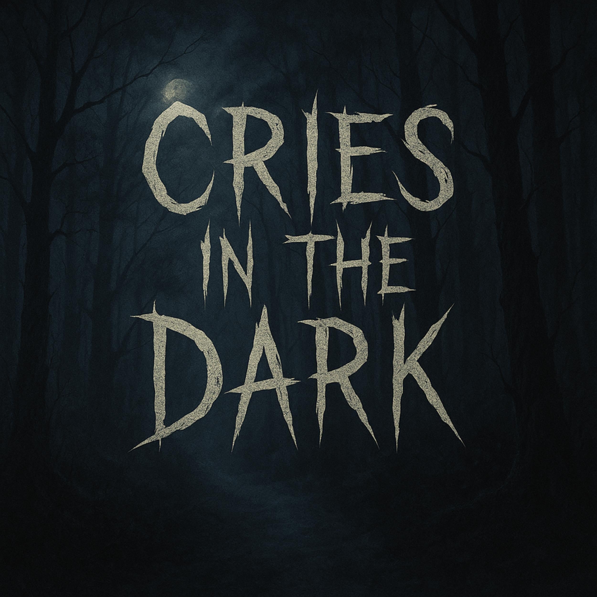 Cries in the Dark: Book summary & analysis