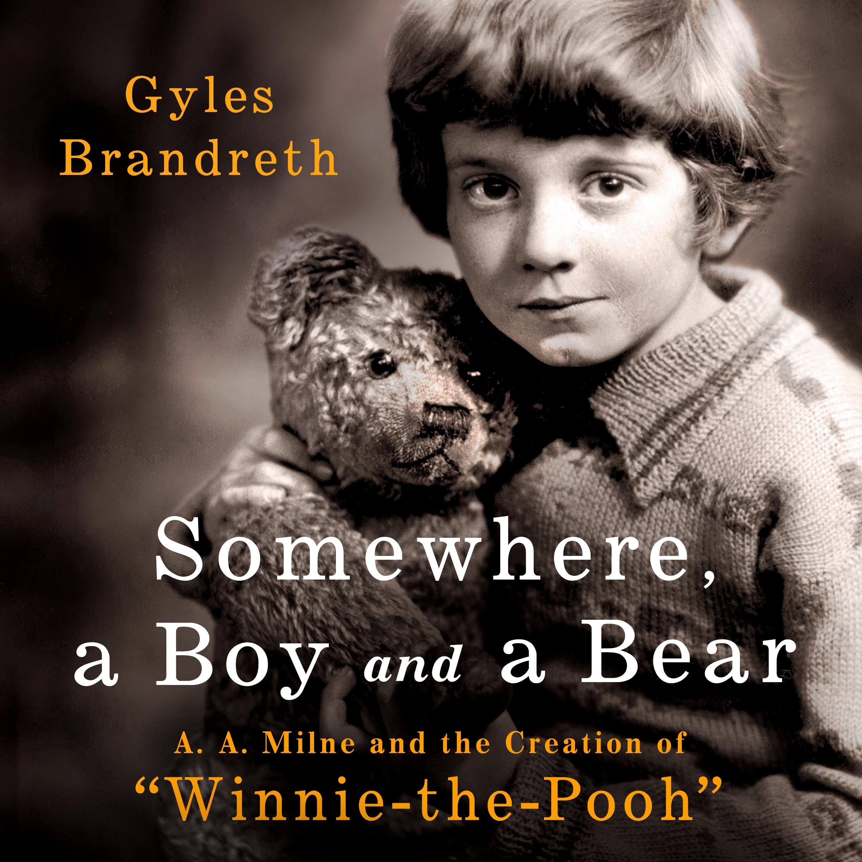 Somewhere, a Boy and a Bear